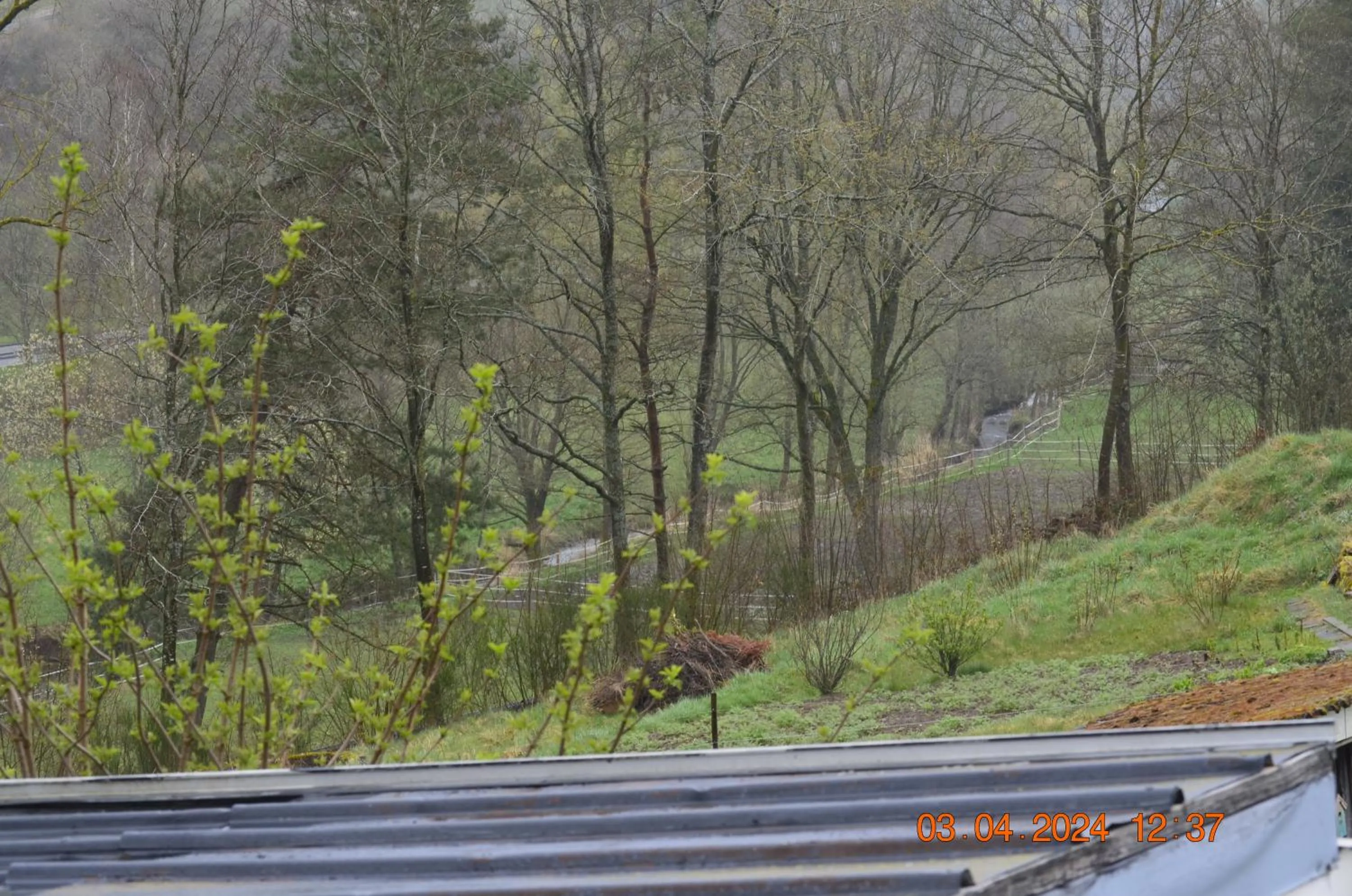 Natural landscape in Sunrise B&B Hellenthal