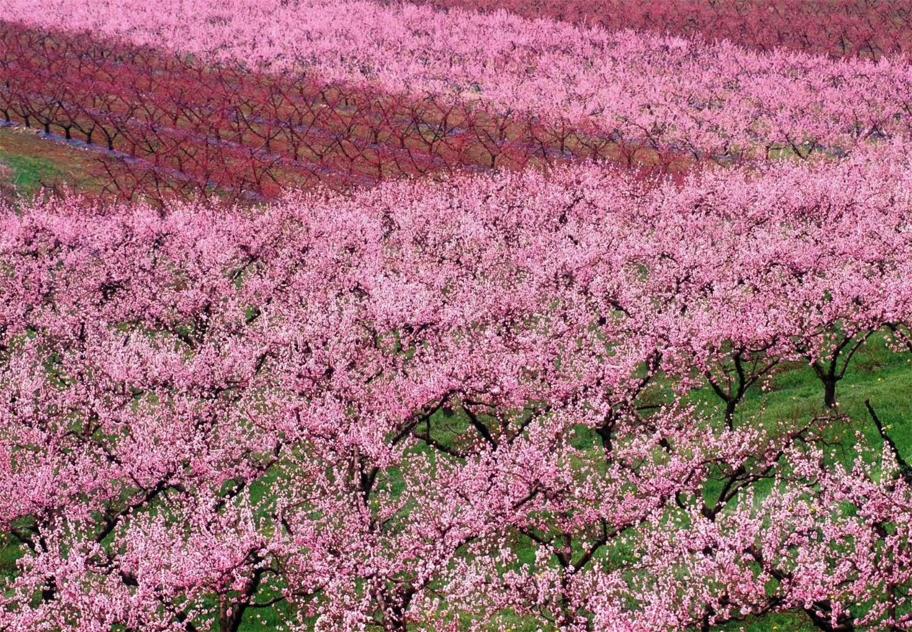 Bird's eye view in Girelli Sorelle