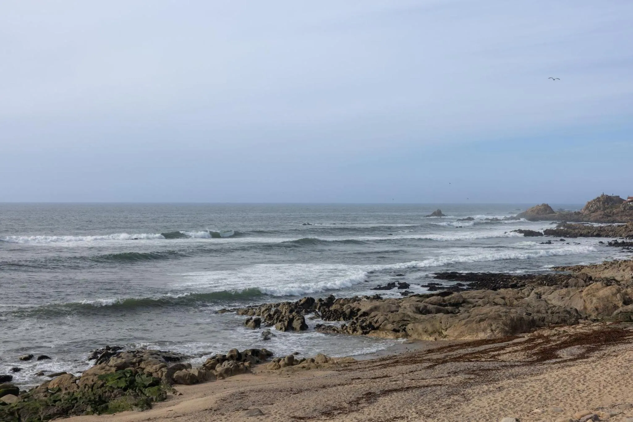 Other in Holiday Inn Express Porto Exponor by IHG