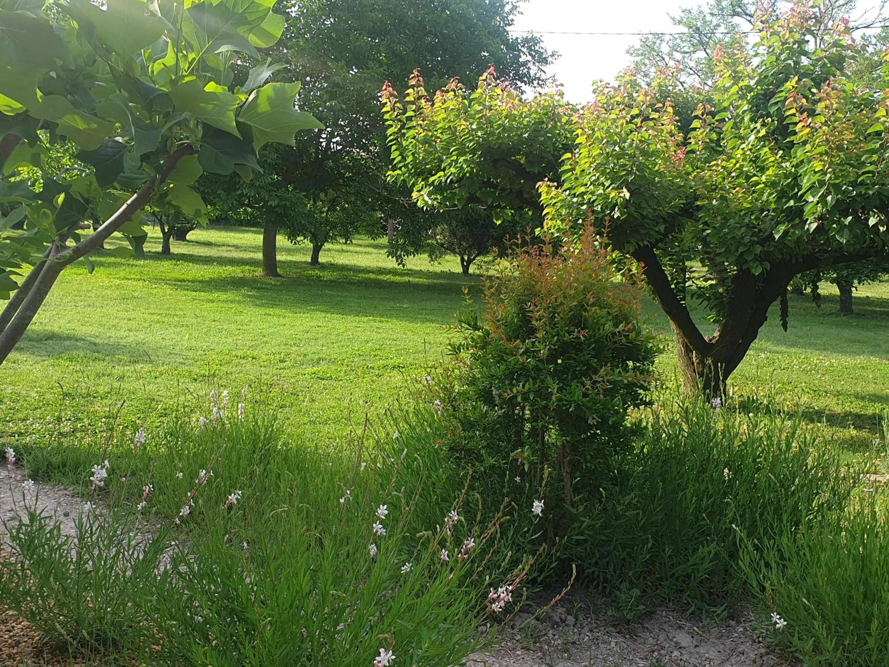 Garden in La Gourmandine