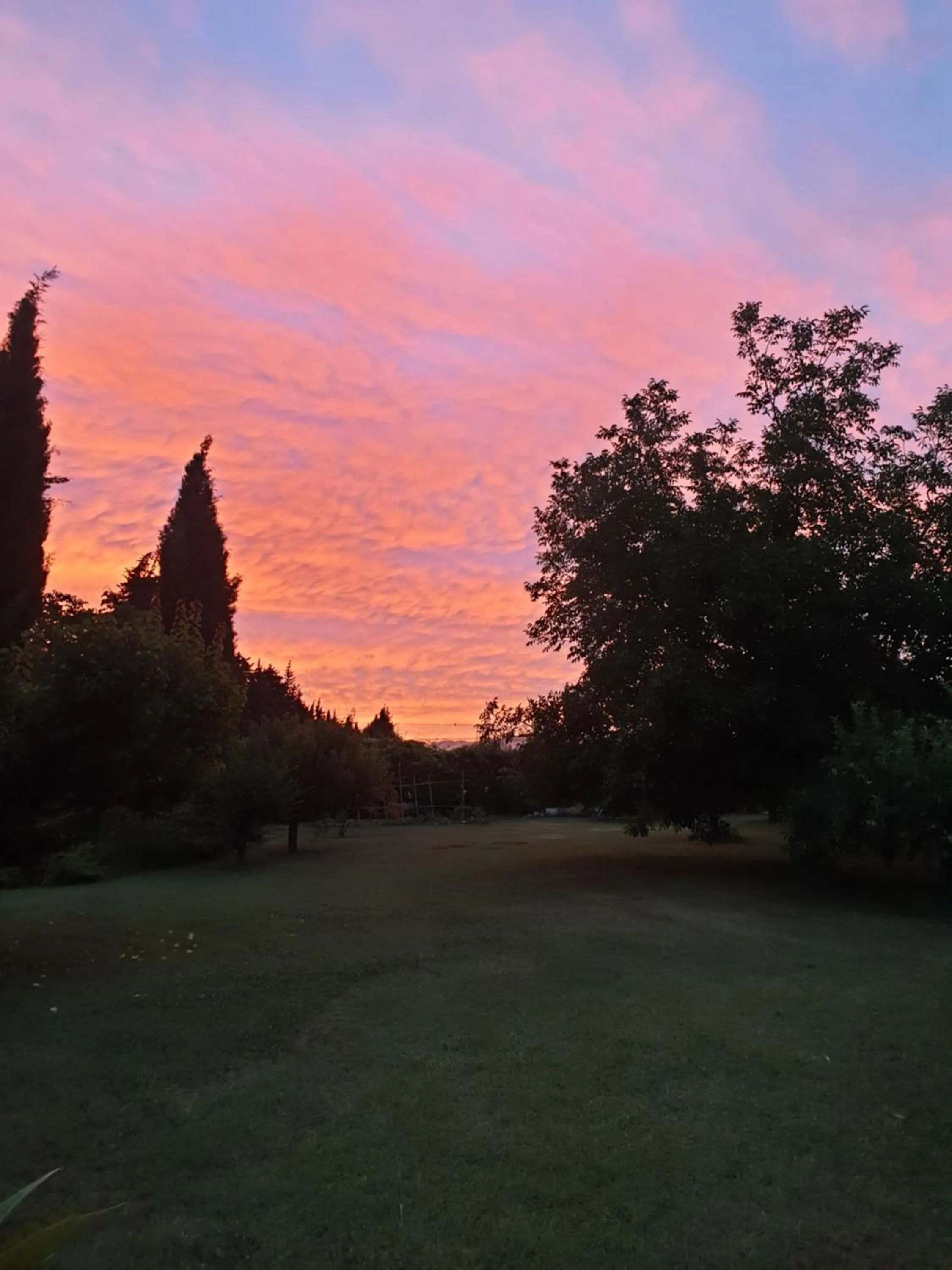 Garden in La Gourmandine