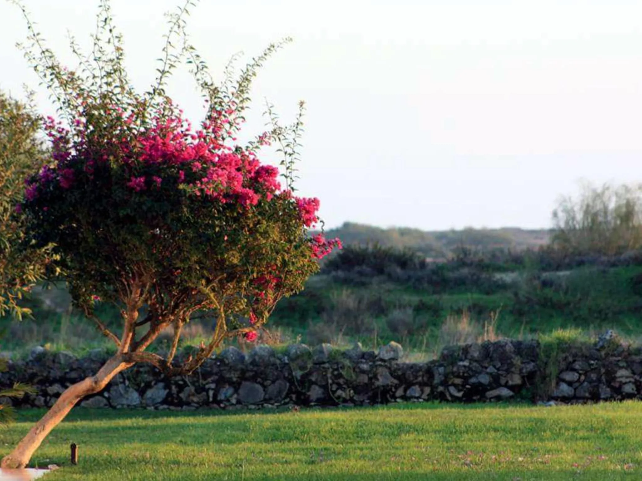 Nearby landmark in Golden Club Cabanas