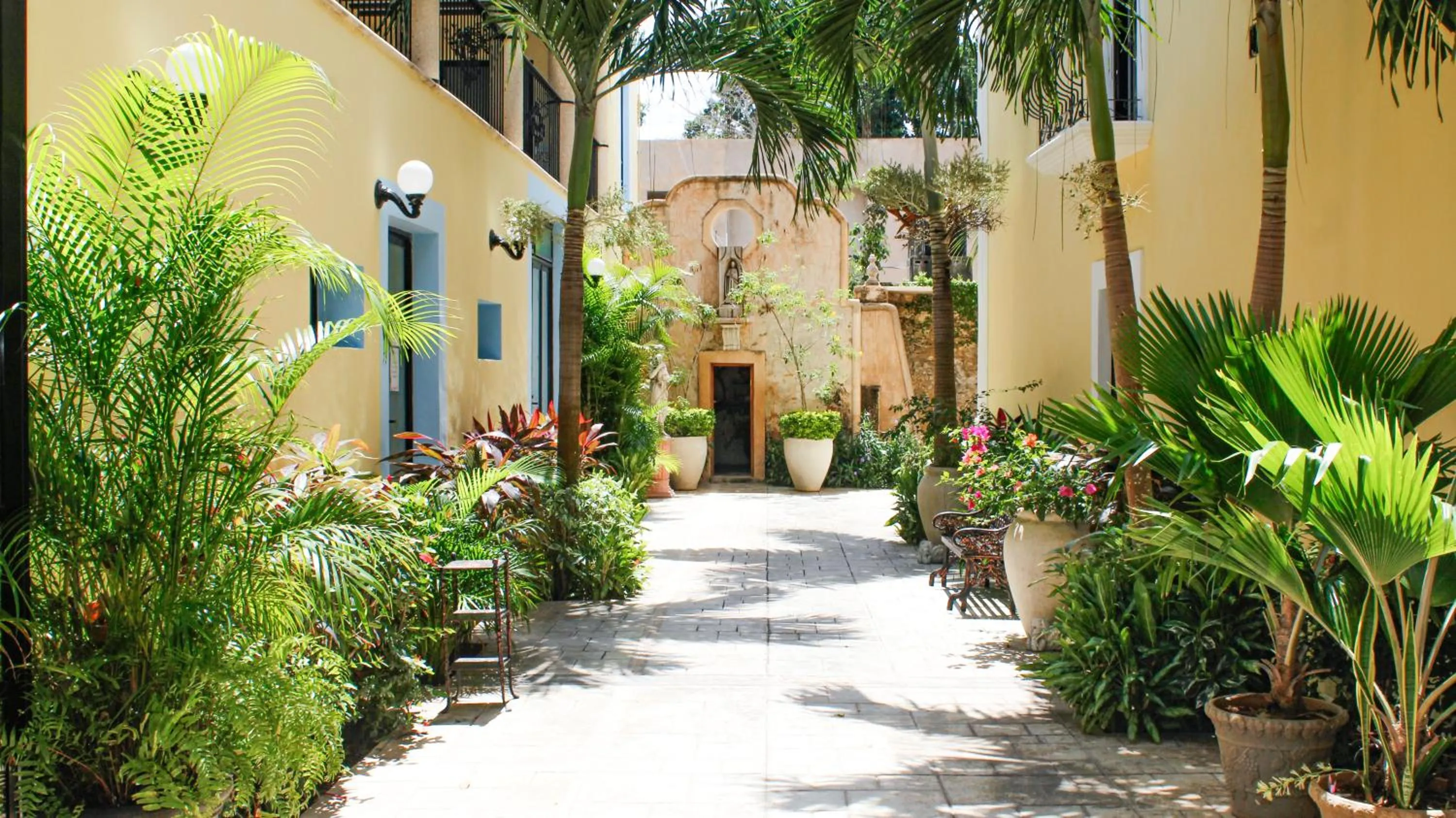 Garden in Hotel Fundadores