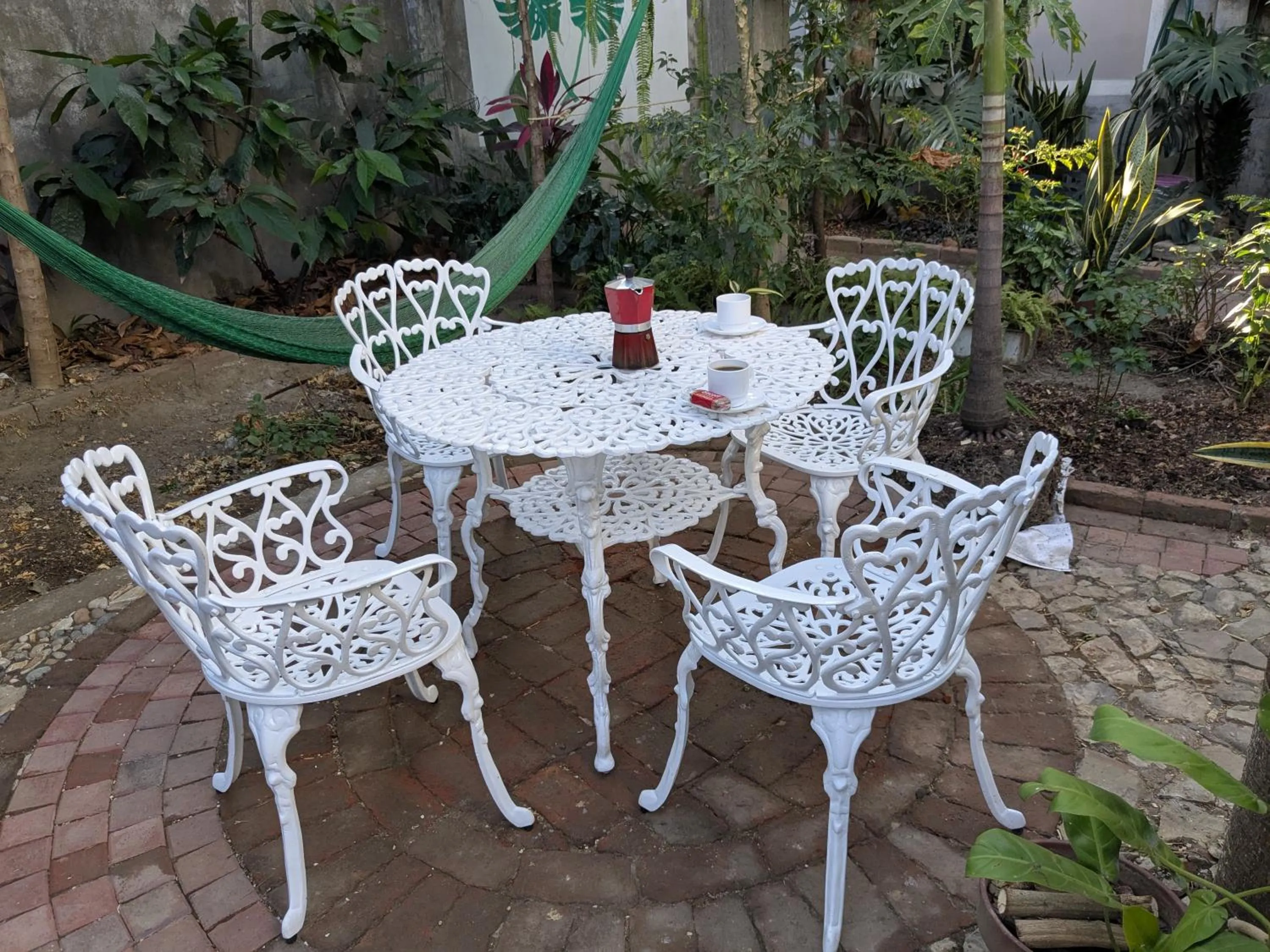 Garden in Hostal Macaw