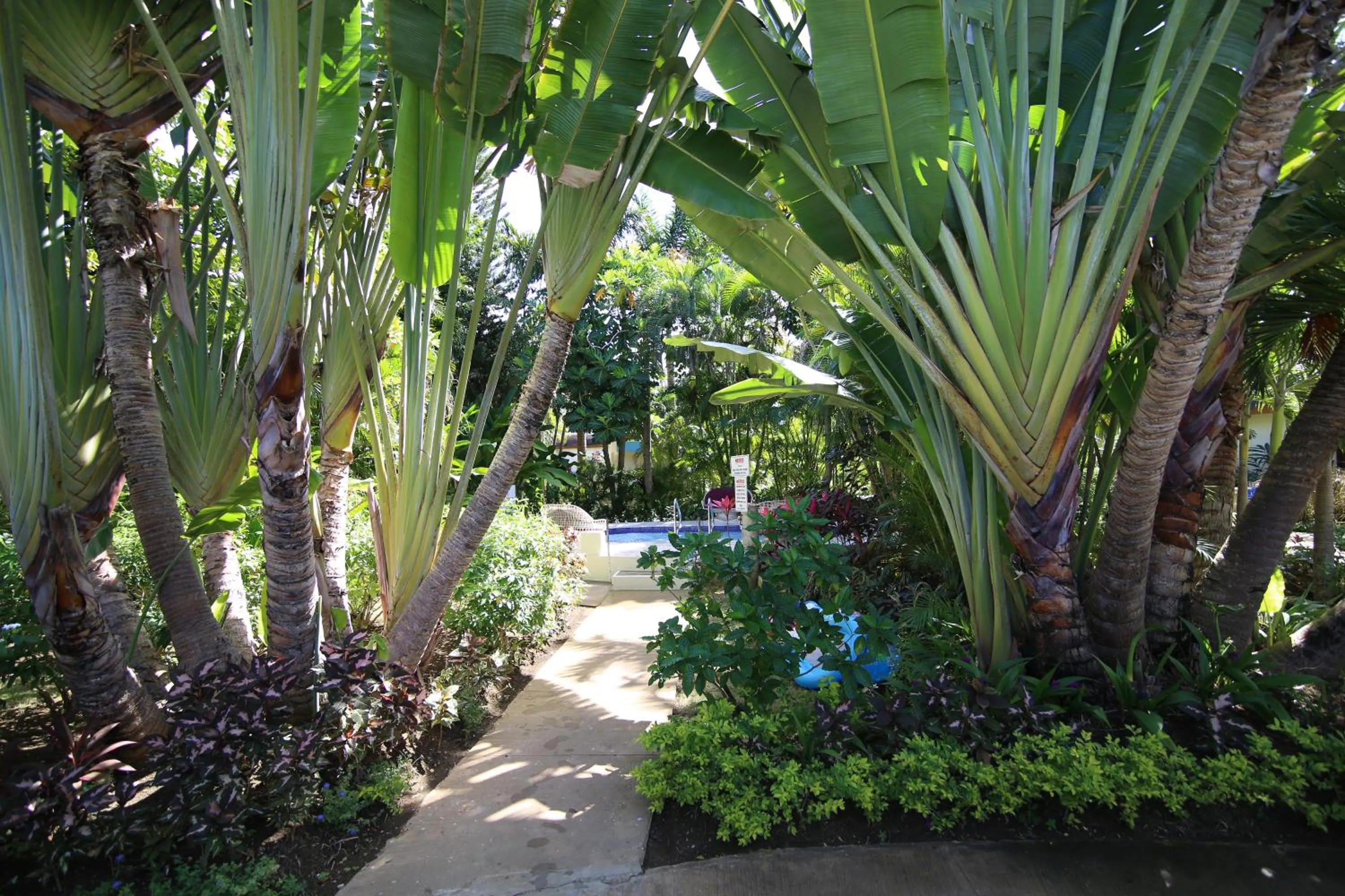 Garden in Coco La Palm