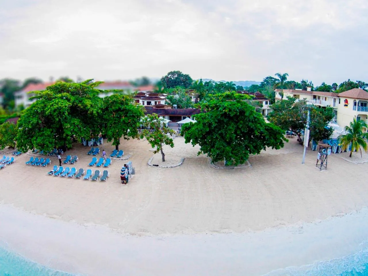 Bird's eye view in Coco La Palm