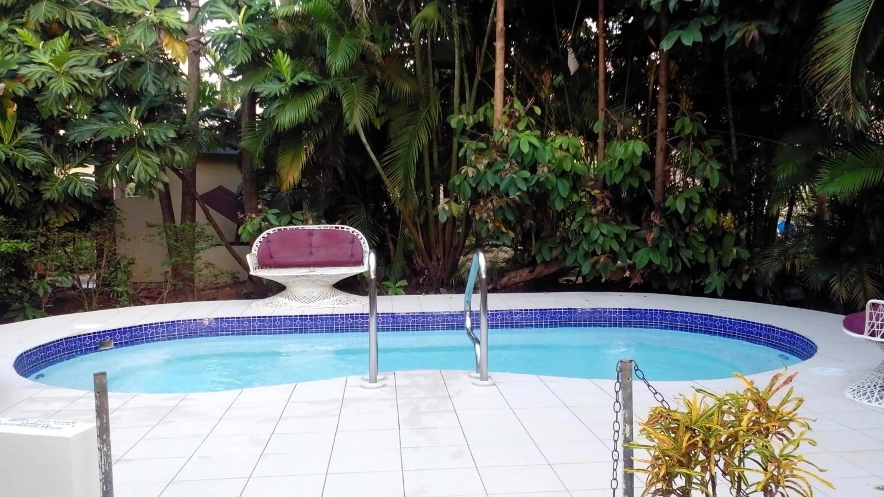 Swimming pool in Coco La Palm