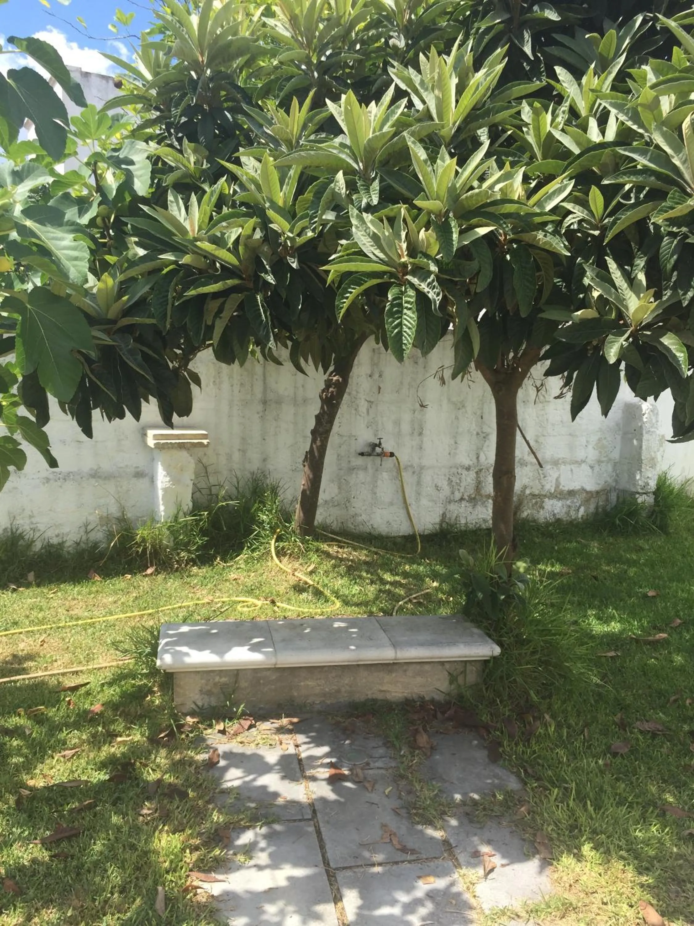 Garden in Affittacamere Room and Breakfast Antonuccio