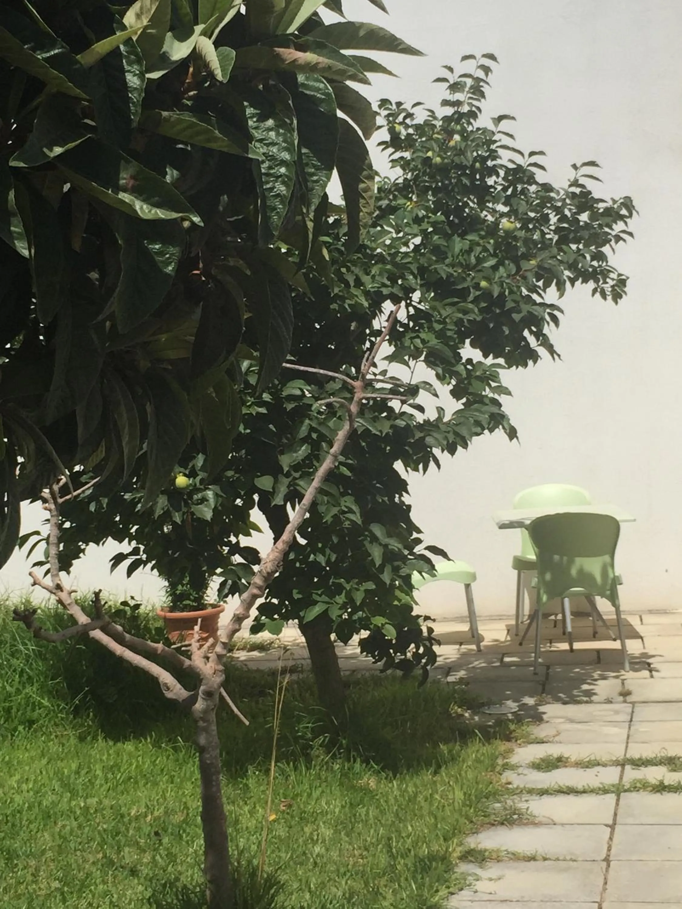 Garden in Affittacamere Room and Breakfast Antonuccio