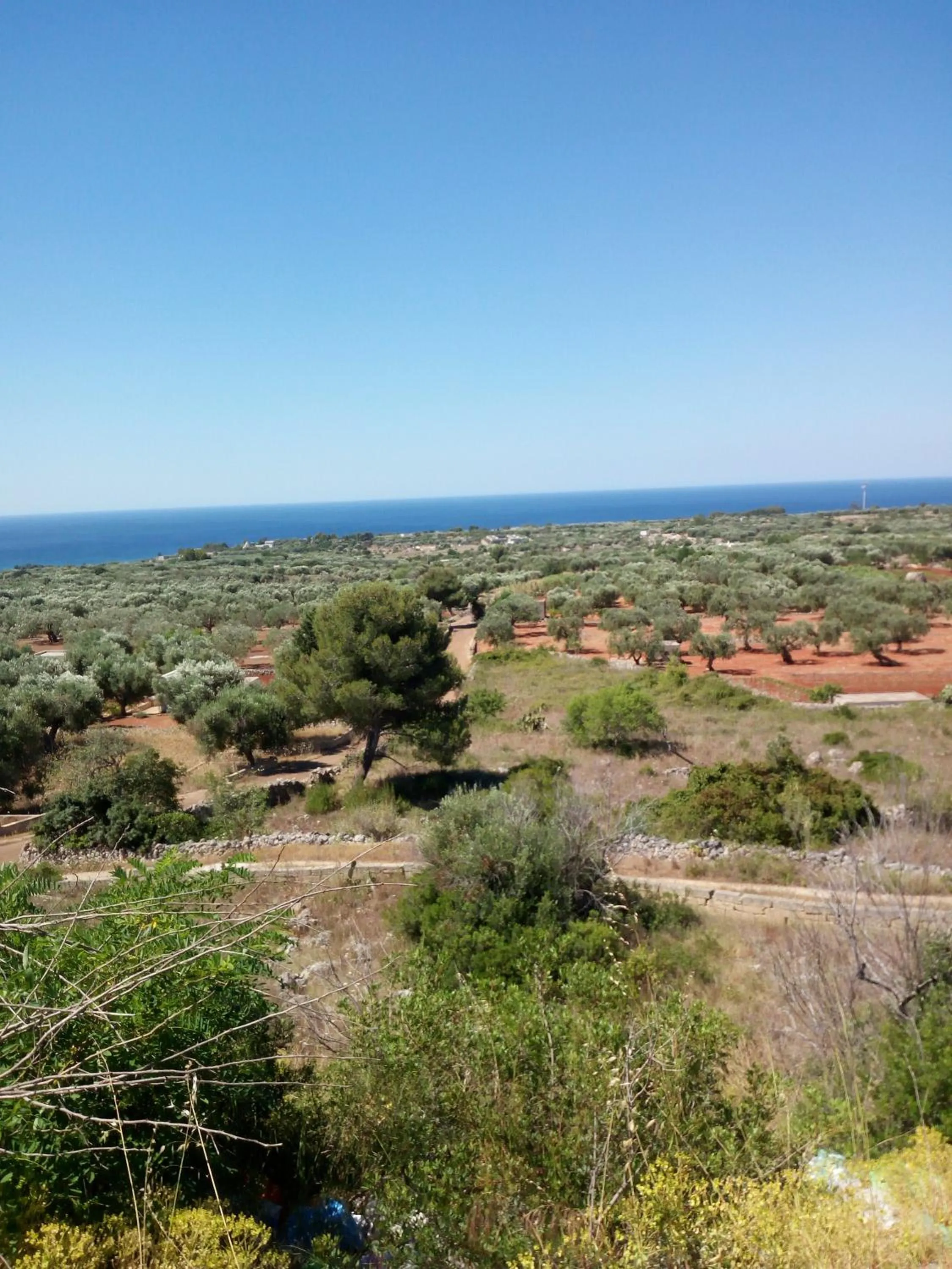 Natural landscape in Affittacamere Room and Breakfast Antonuccio