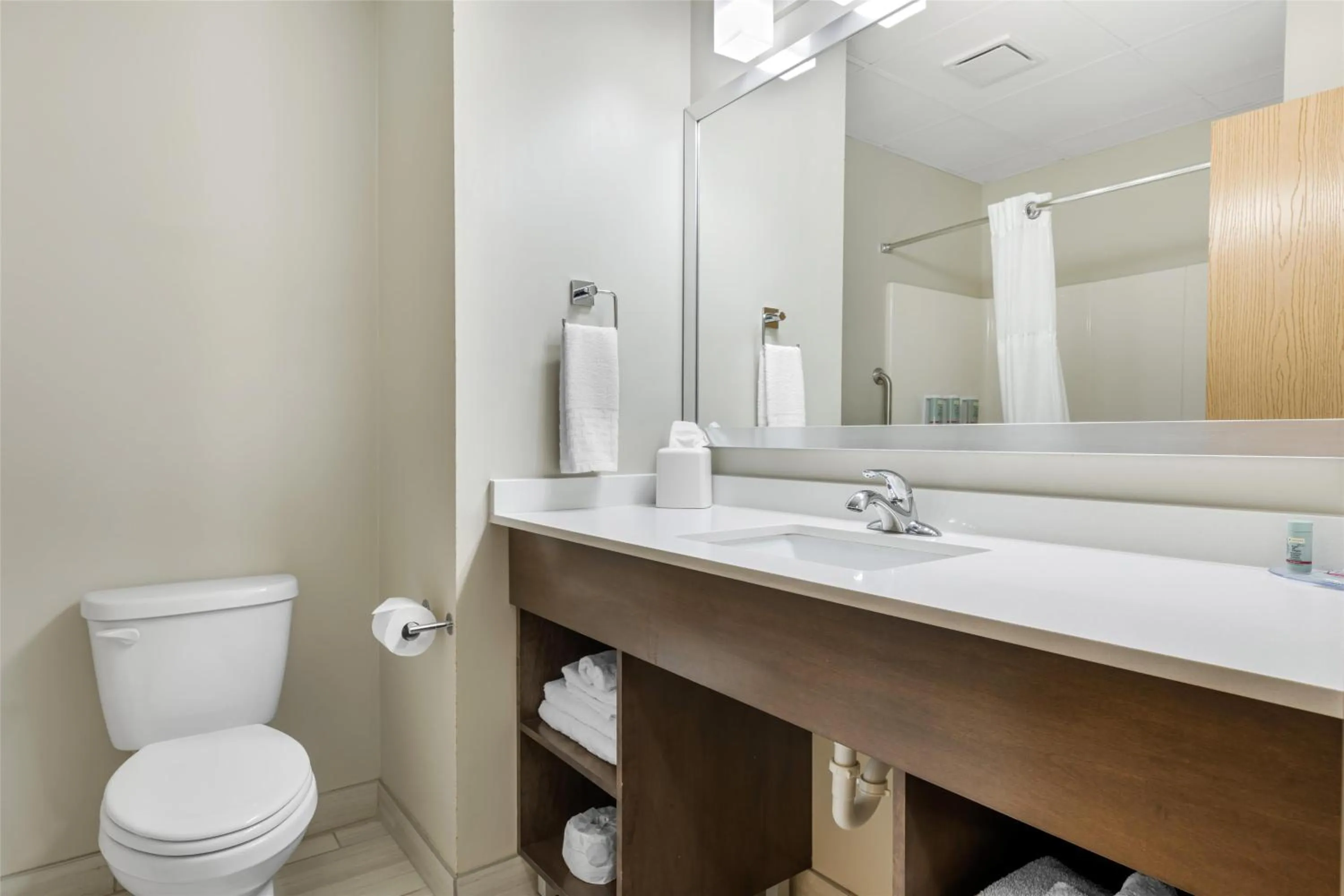 Bathroom in Best Western Brockport Inn & Suites