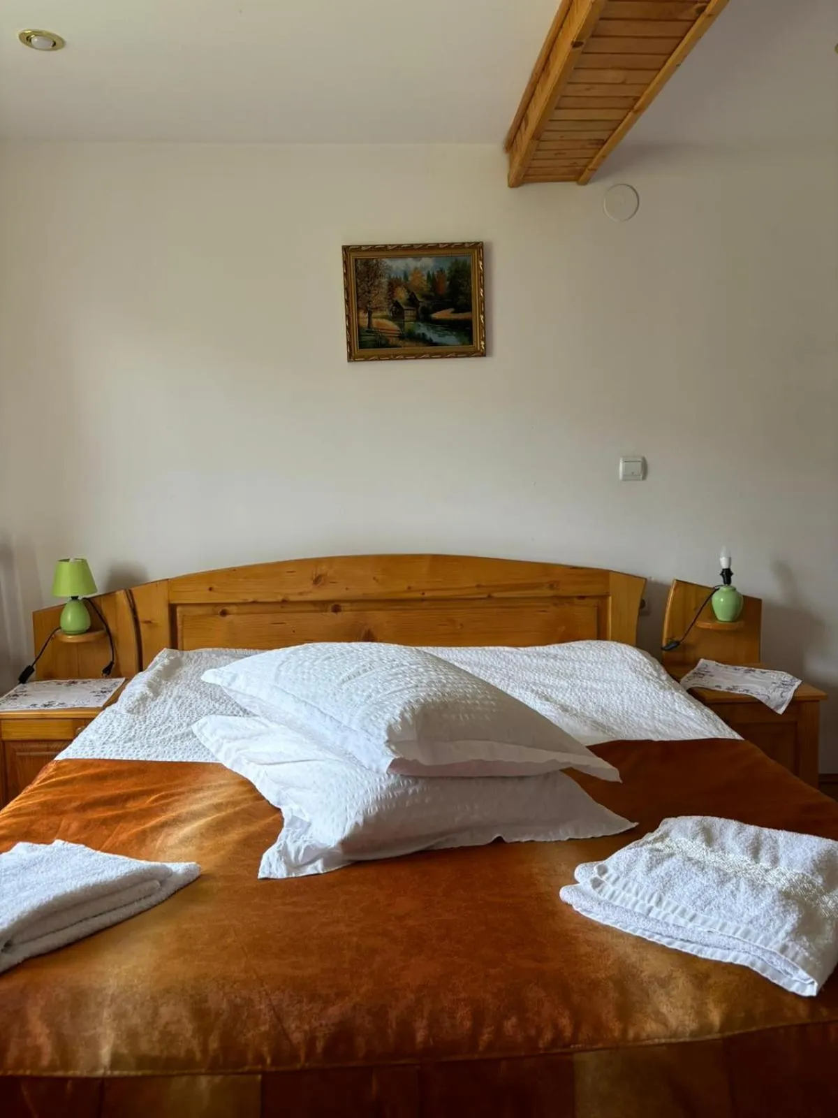 Bed in Pensiunea Luminita