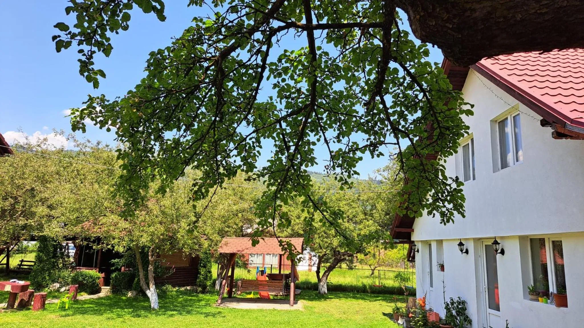 Garden in Pensiunea Luminita