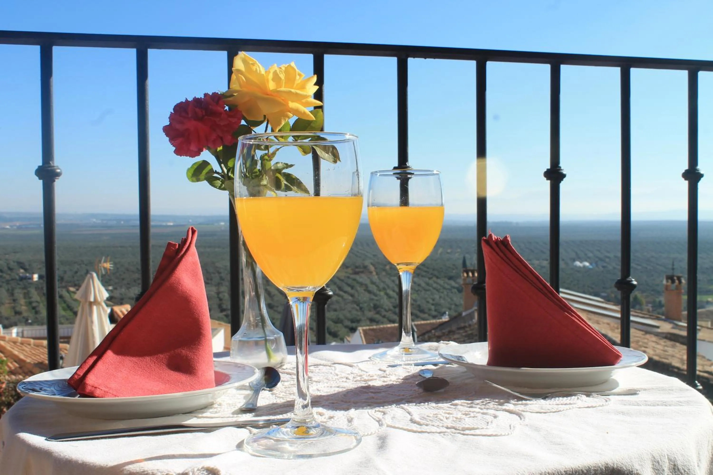 Balcony/Terrace in Hotel Palacio Guzmanes
