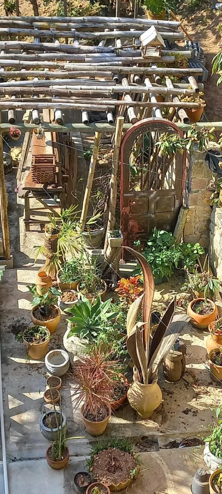 Tainha da Praia Aparthotel