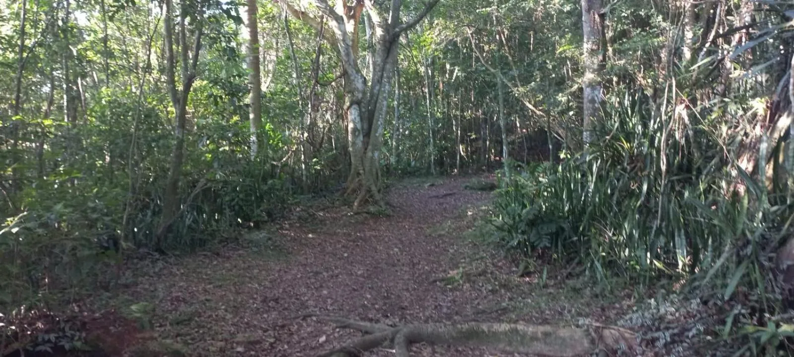 Tainha da Praia Aparthotel