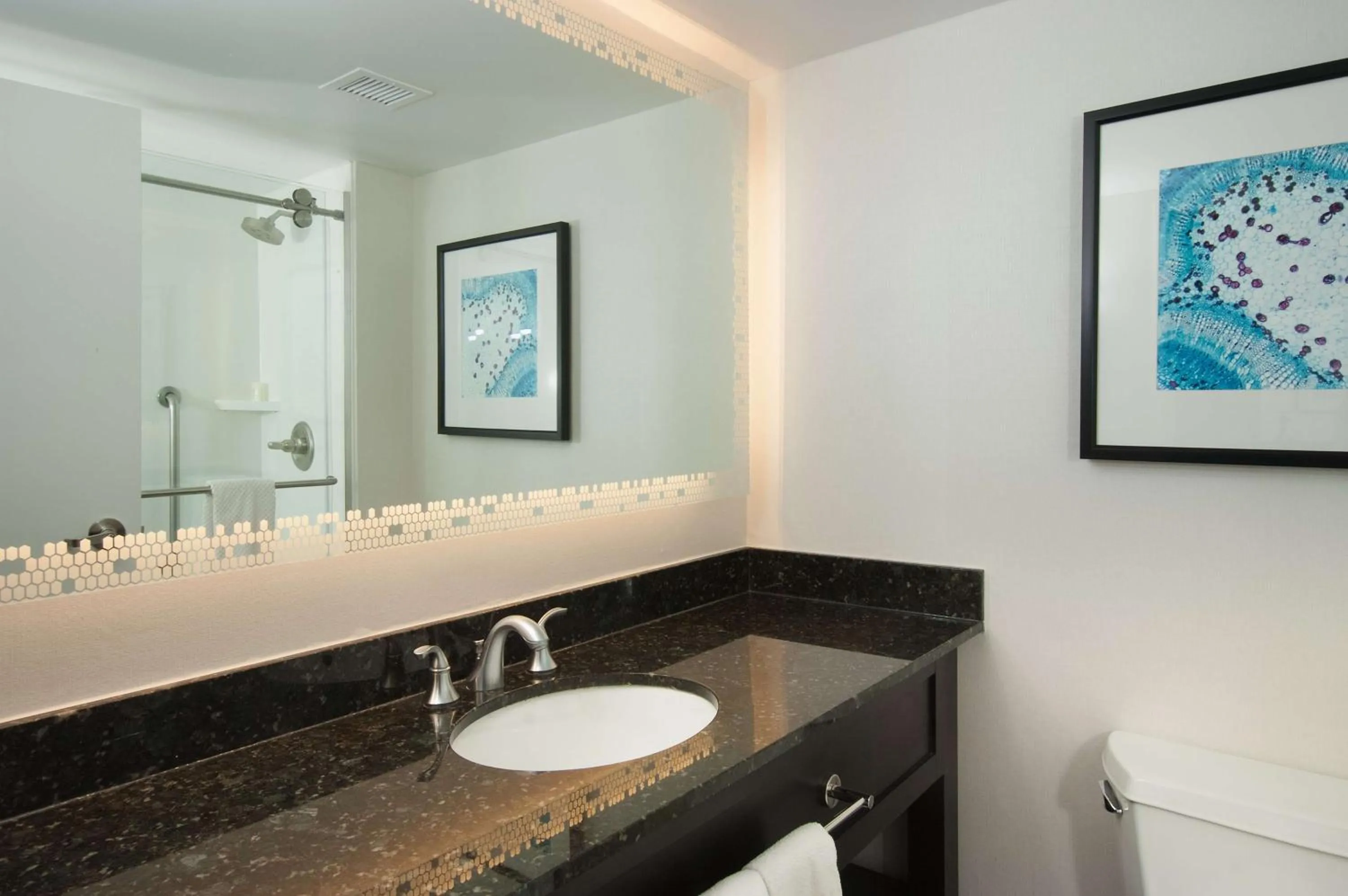 Bathroom in Embassy Suites by Hilton Raleigh Crabtree