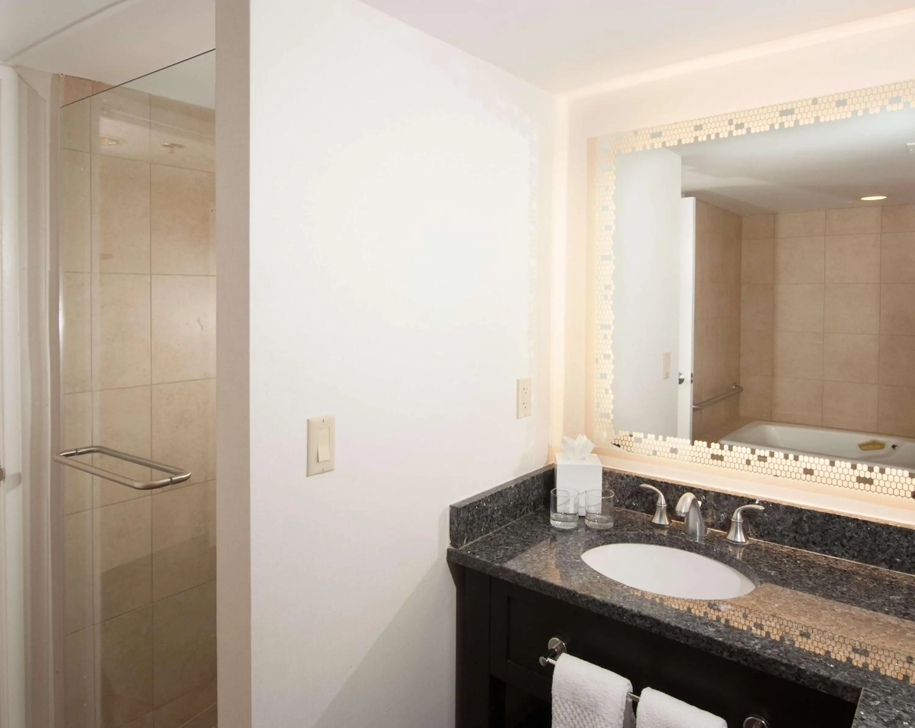 Bathroom in Embassy Suites by Hilton Raleigh Crabtree