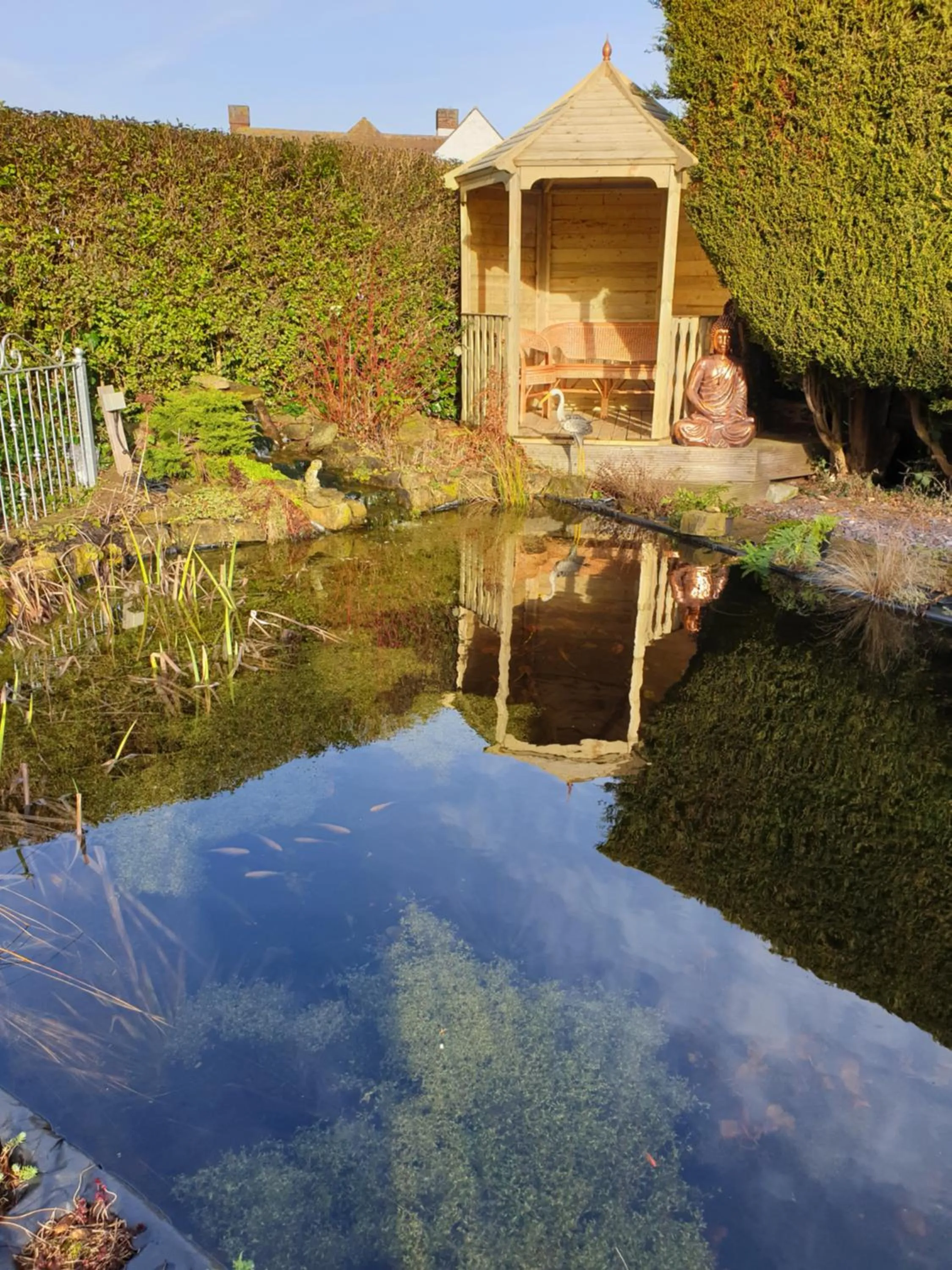 Garden in Sunnycroft