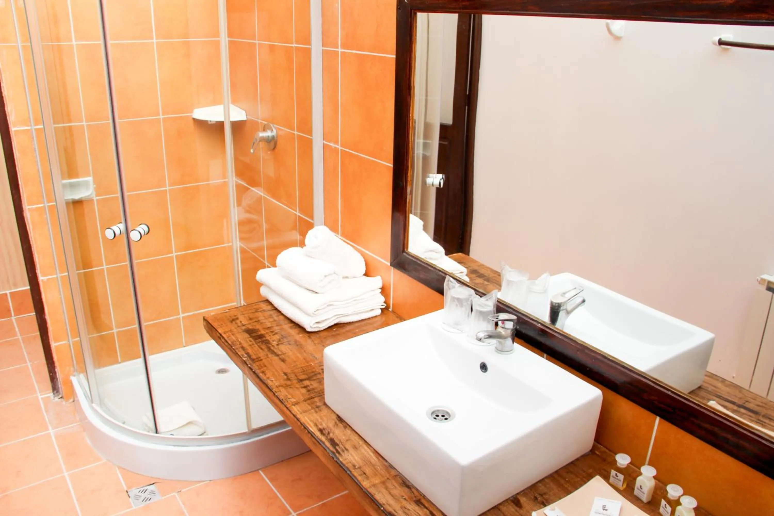 Bathroom in Hotel Palacio de Sal