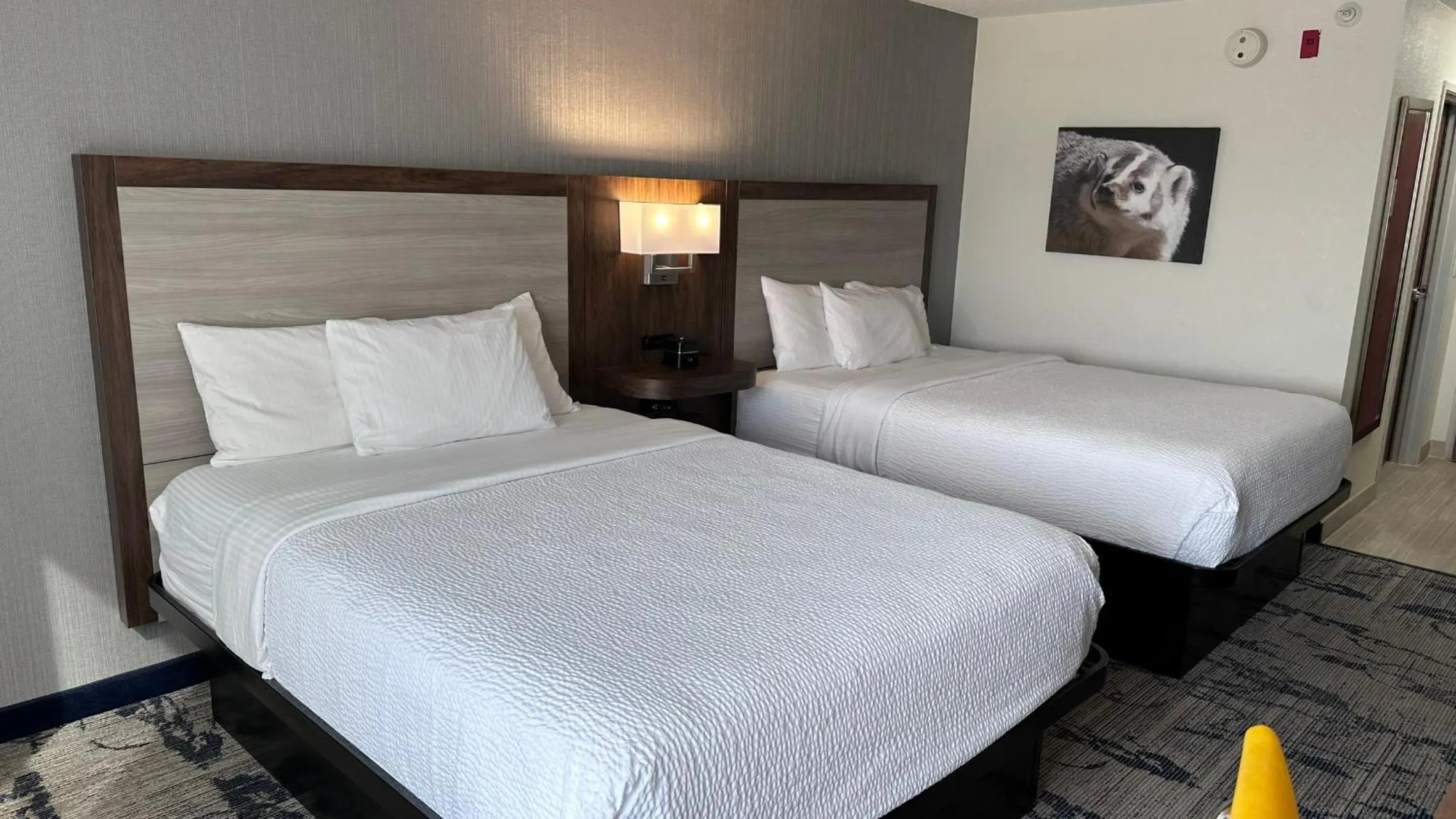 Bedroom, Bed in La Quinta by Wyndham Milwaukee SW New Berlin