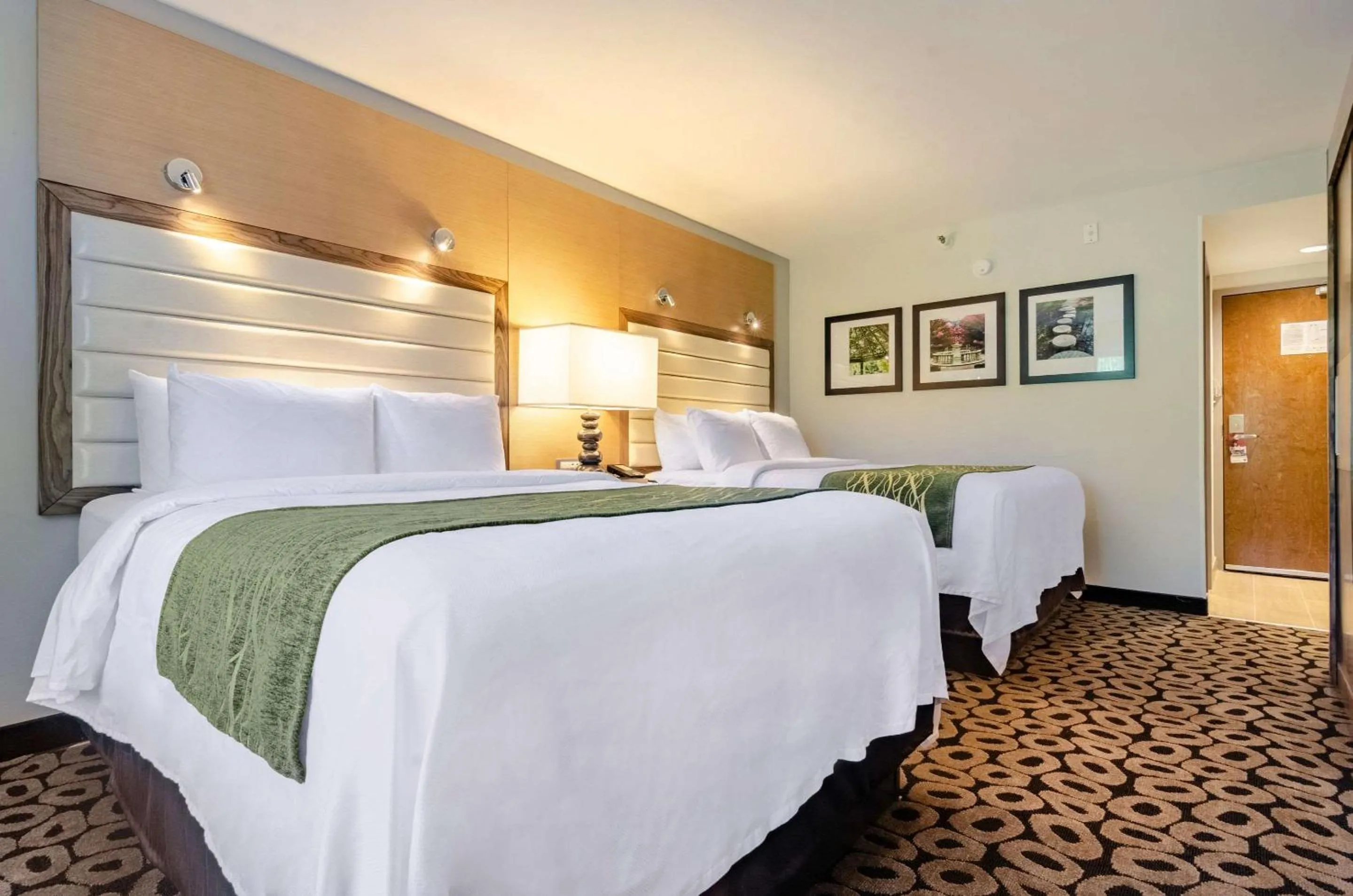 Bedroom, Bed in Comfort Inn Raleigh Midtown