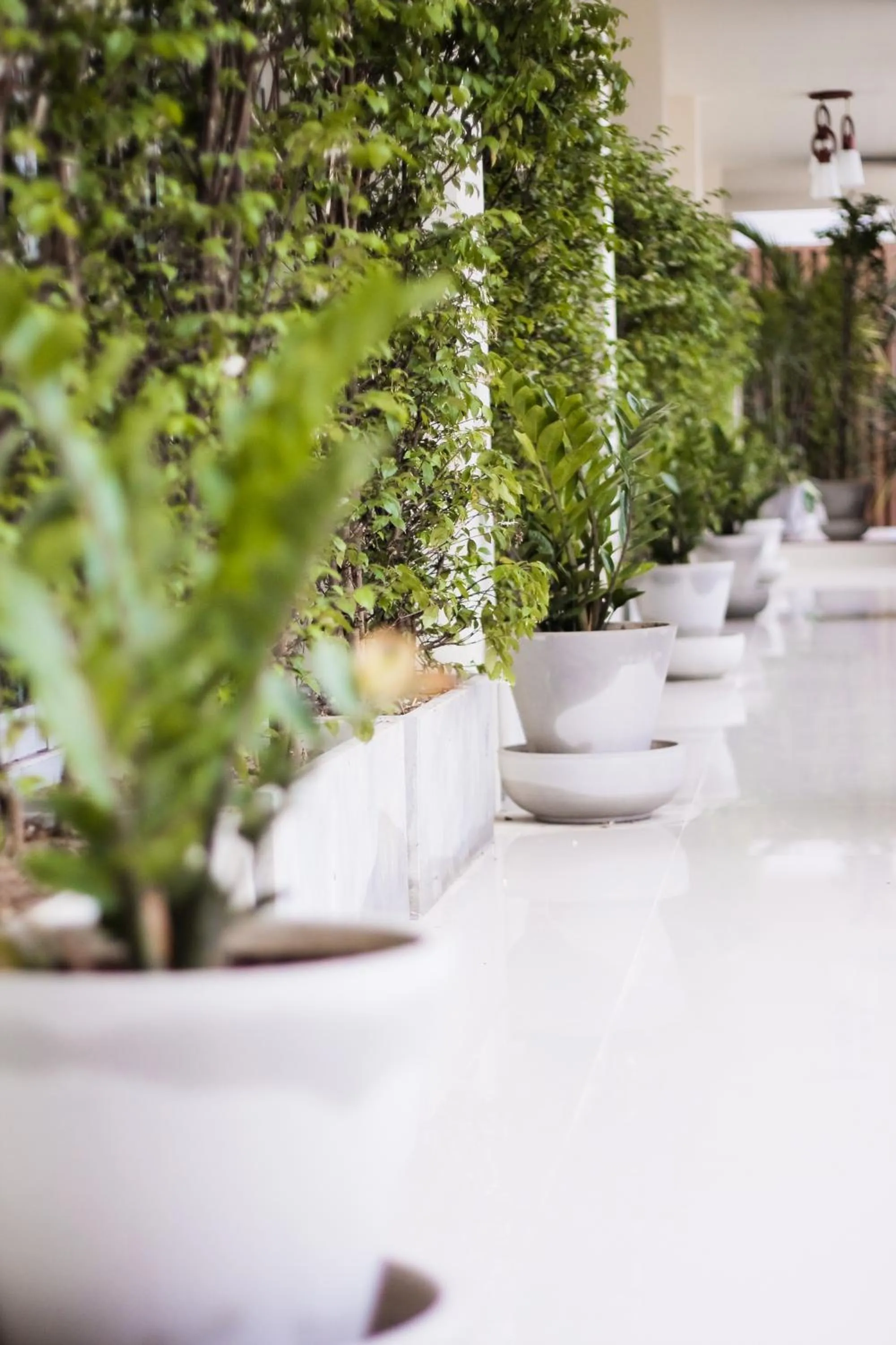 Garden in Boonsiri Boutique Hotel