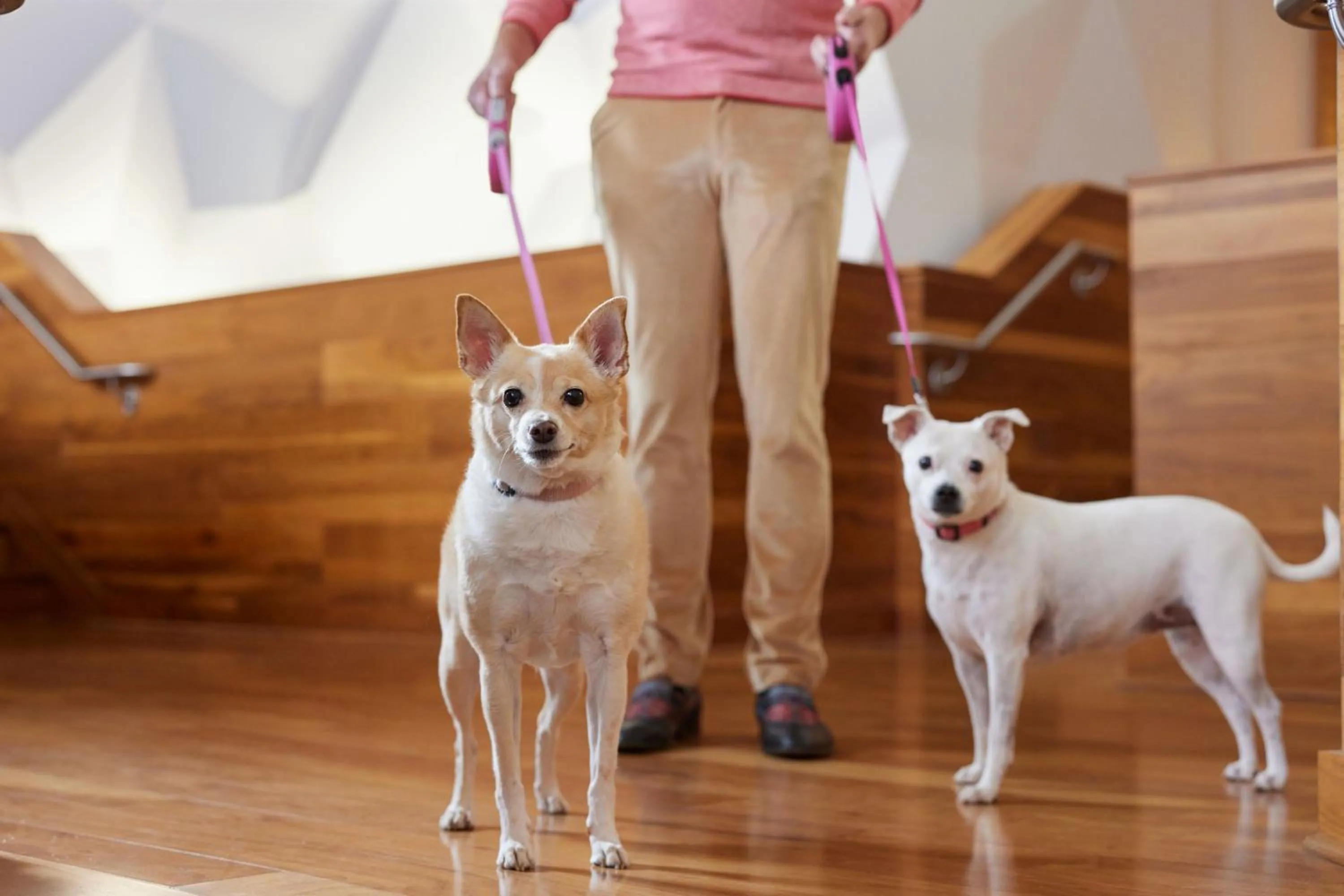 Other in Sheraton Grand Nashville Downtown