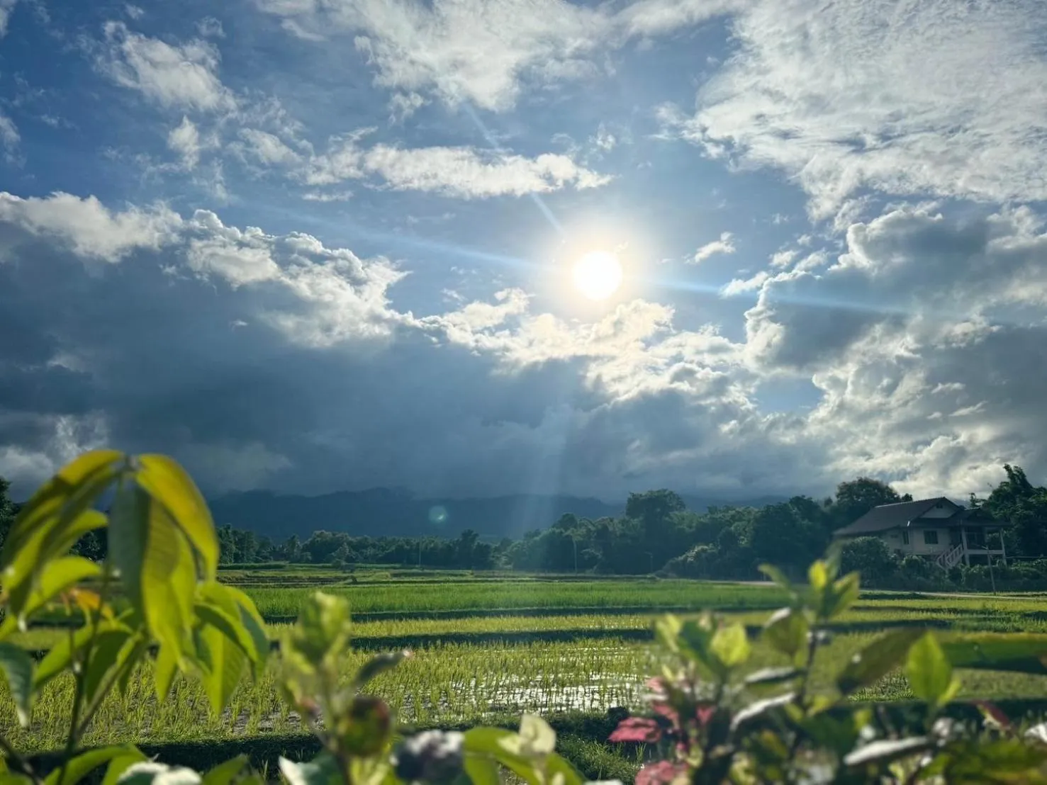 View (from property/room) in Sirita