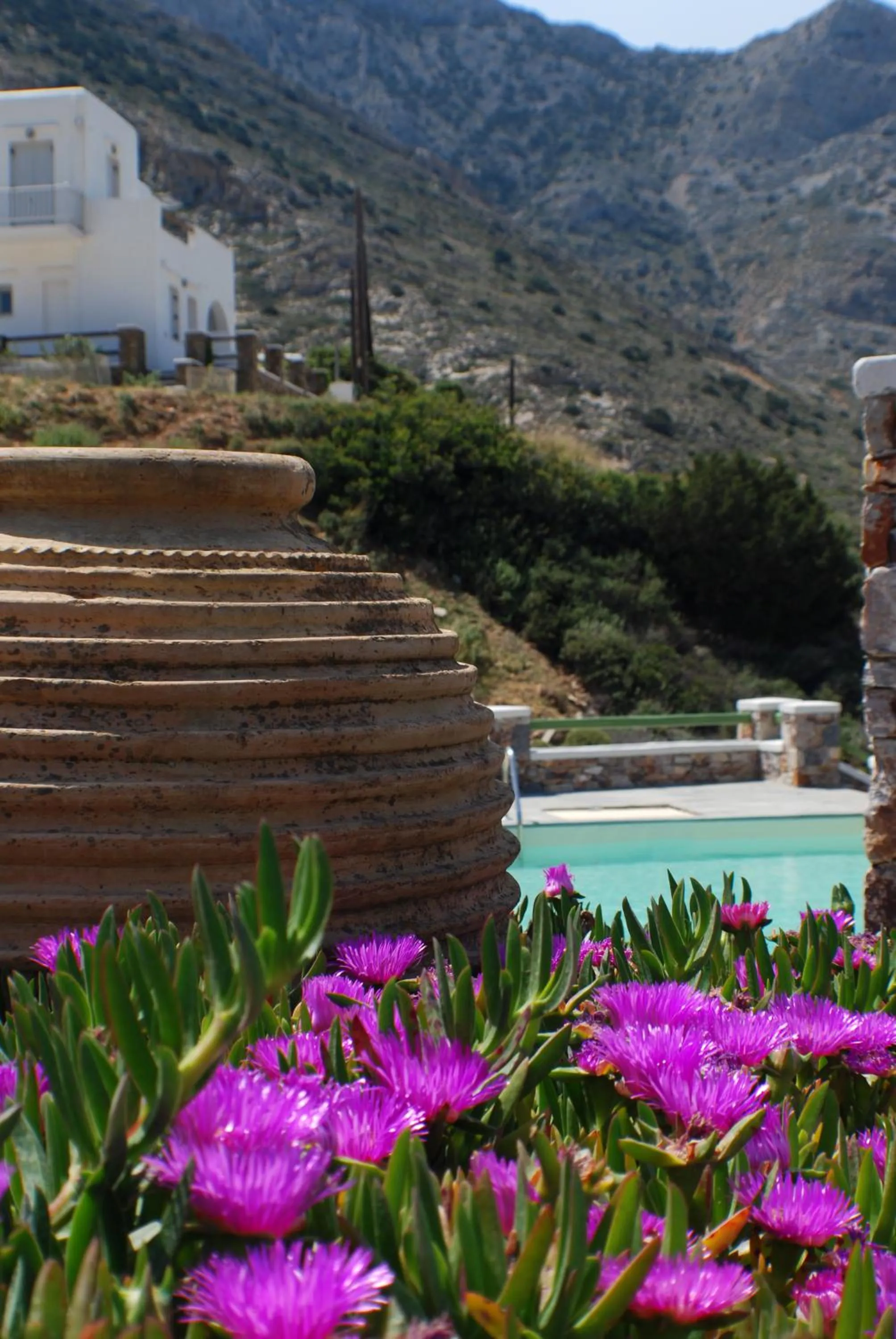 Area and facilities in Xerolithia