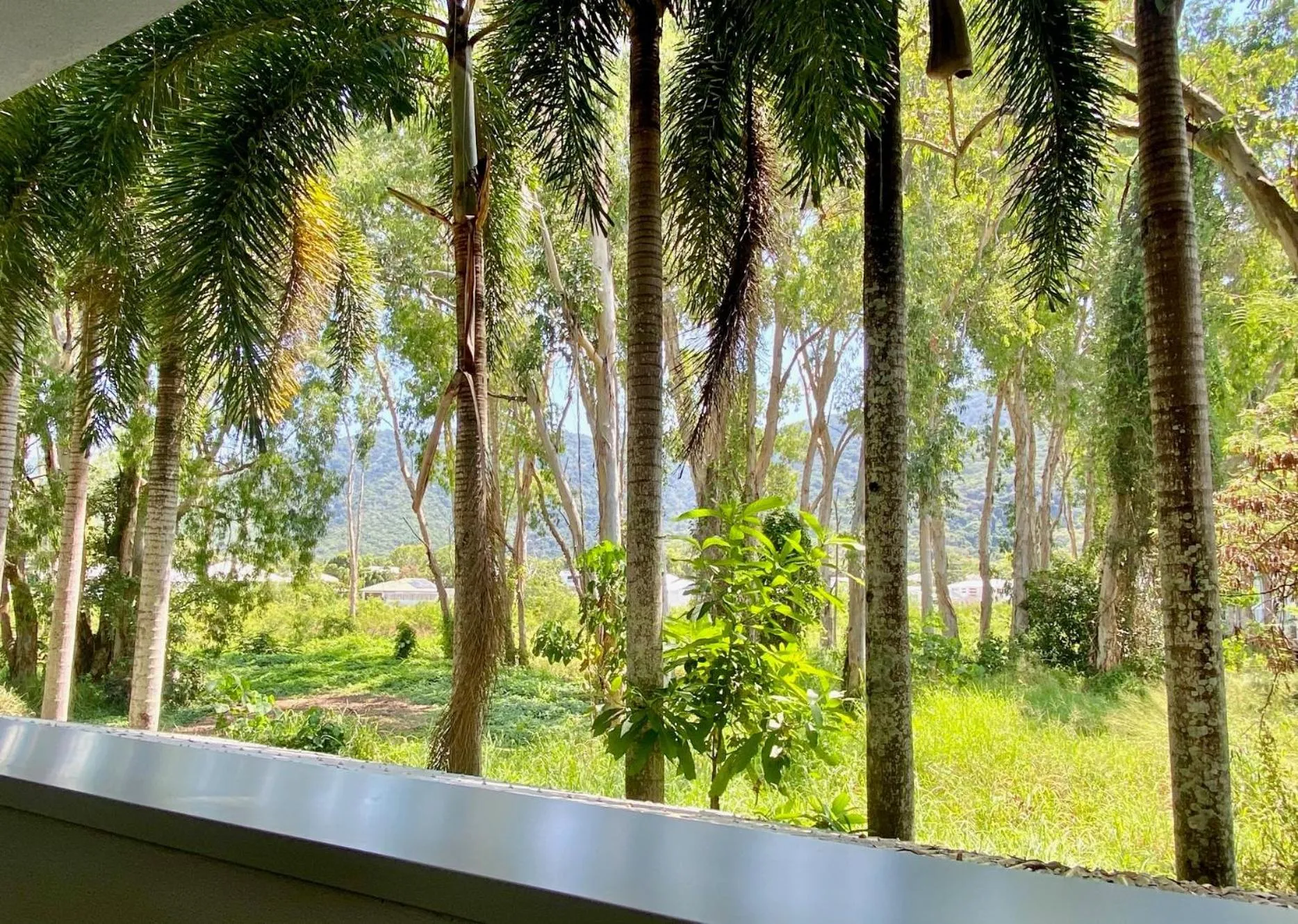 Garden view in Paradise On The Beach Resort