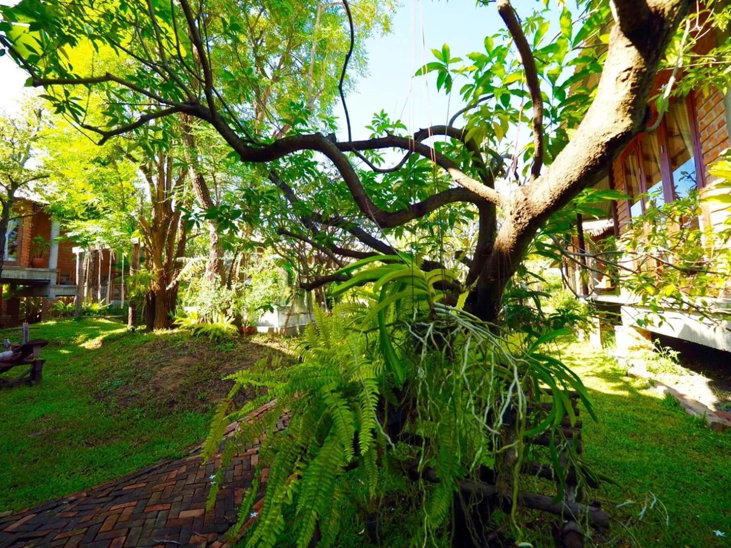 Natural landscape in BaanSuk Sukhothai Resort