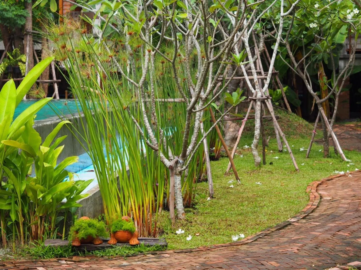 Natural landscape in BaanSuk Sukhothai Resort