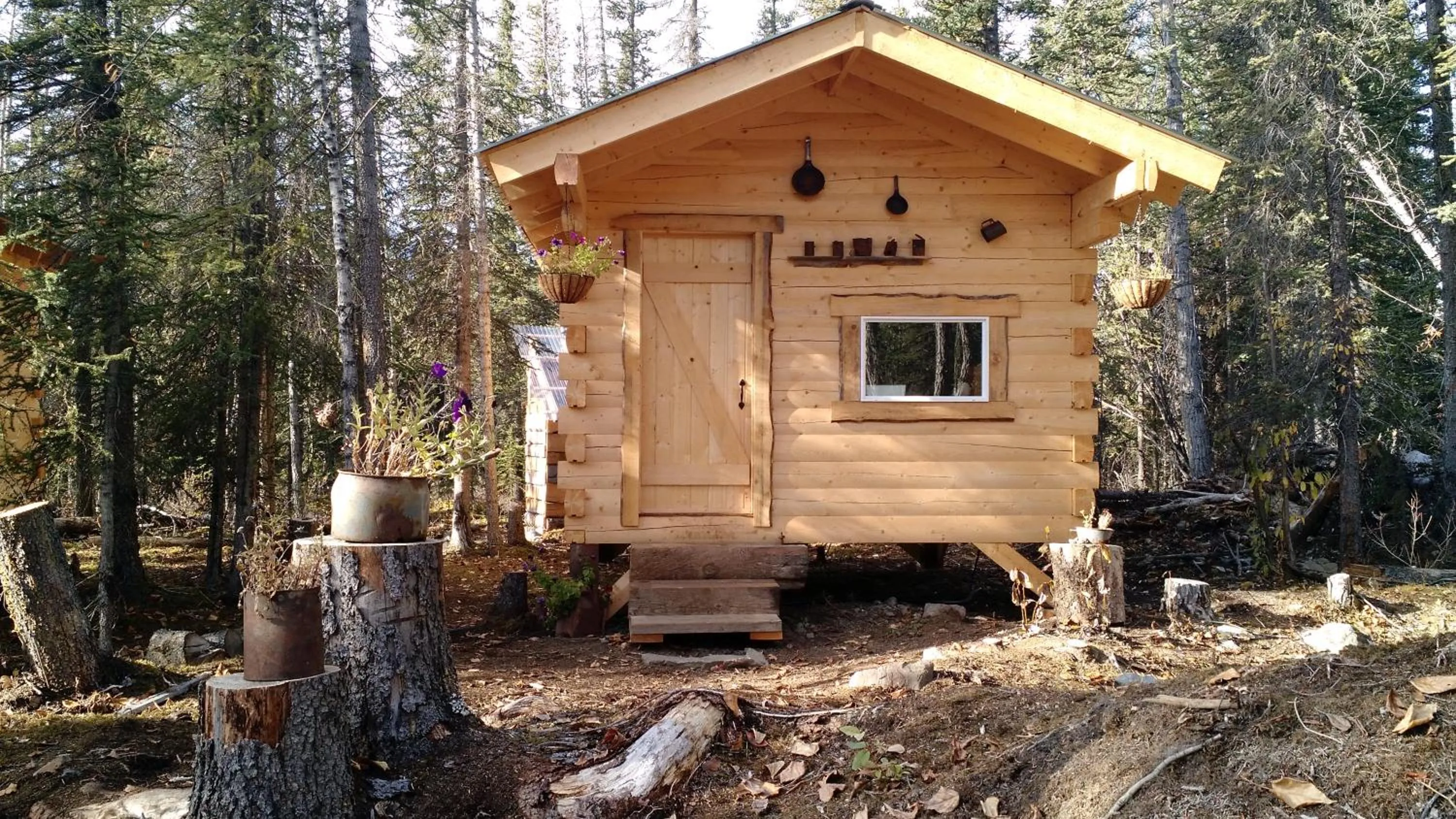 Blackburn Cabins - McCarthy, Alaska