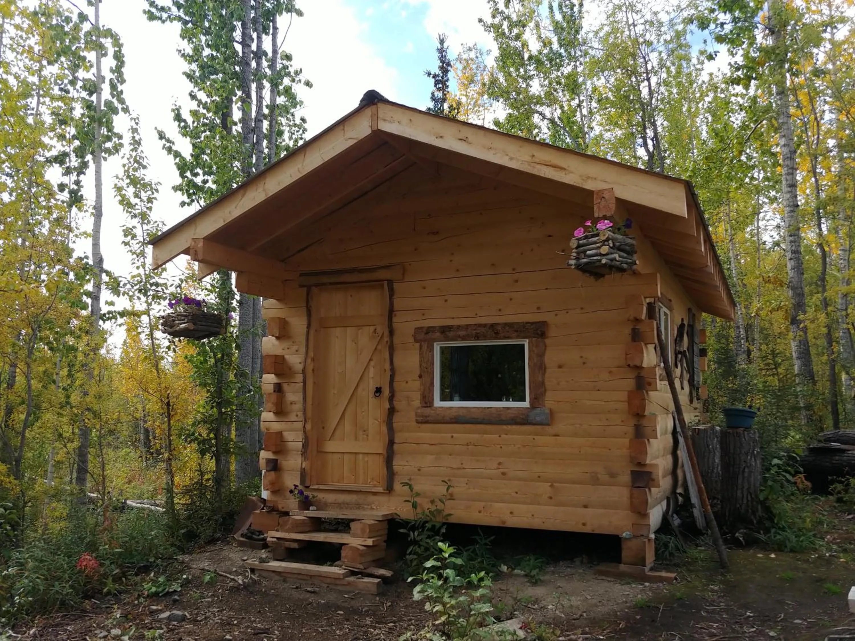Blackburn Cabins - McCarthy, Alaska