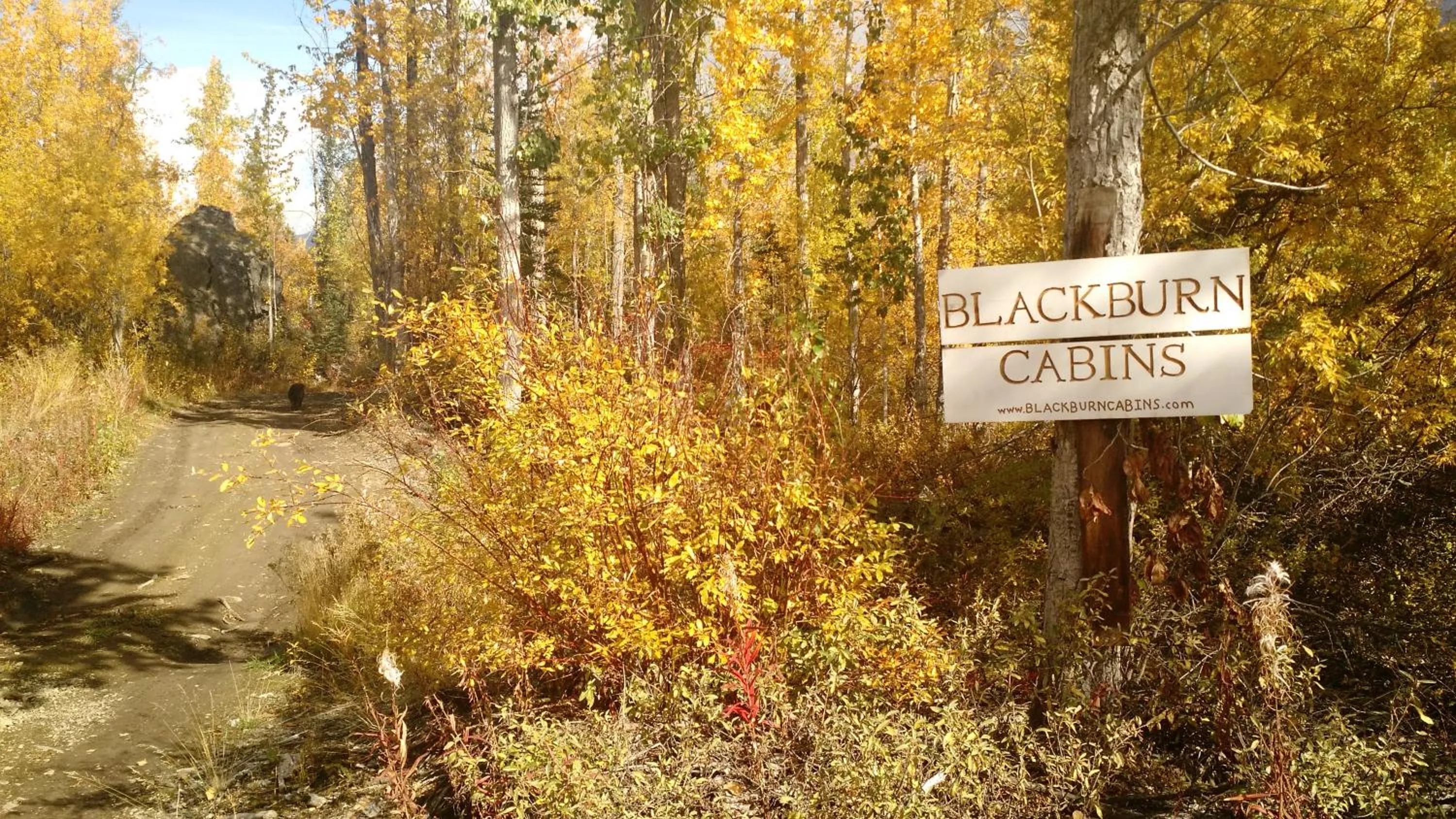 Blackburn Cabins - McCarthy, Alaska
