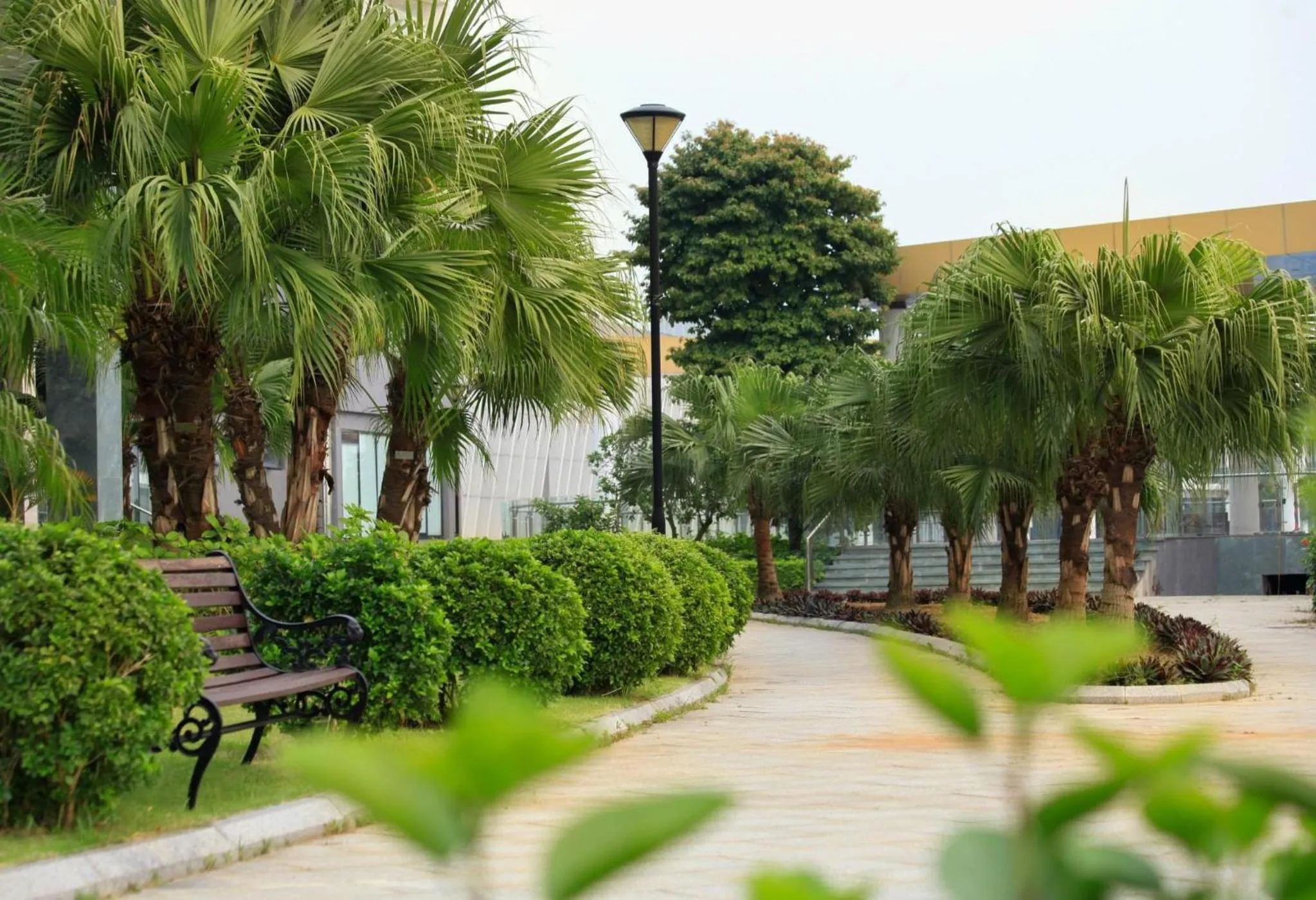 Garden in DIC Star Hotels & Resorts Vinh Phuc