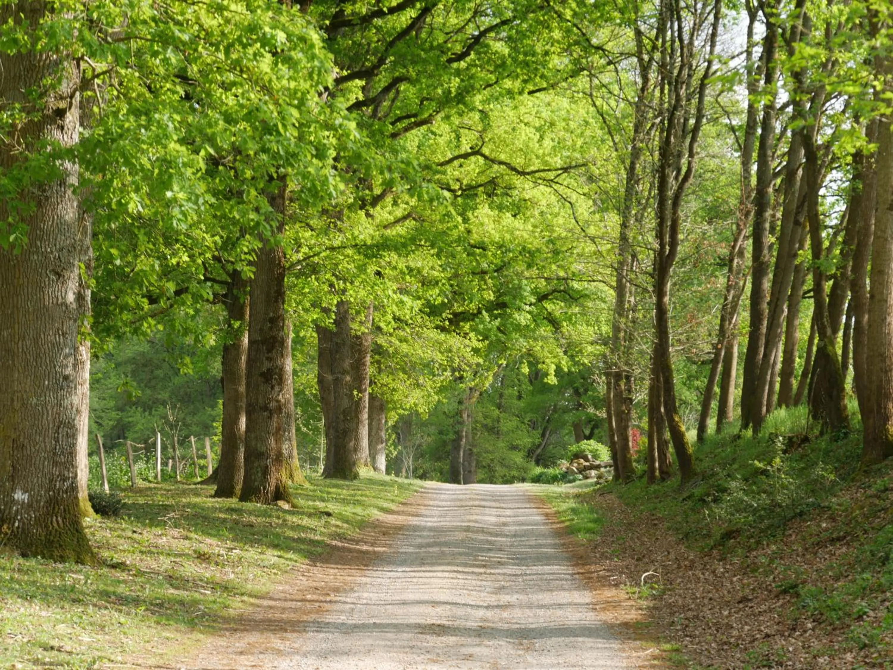 Spring in Domaine de Joreau