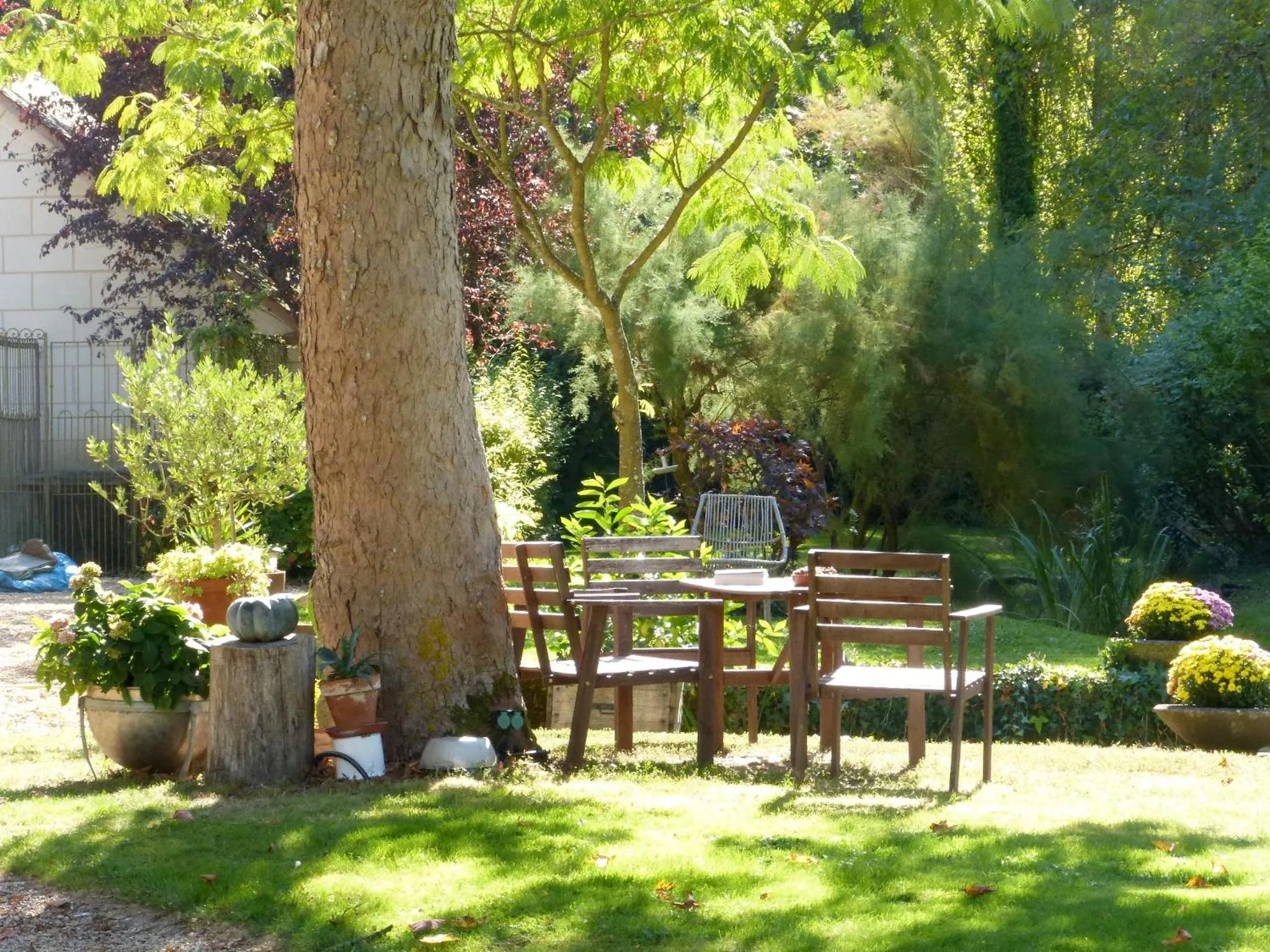 Garden in Domaine de Joreau