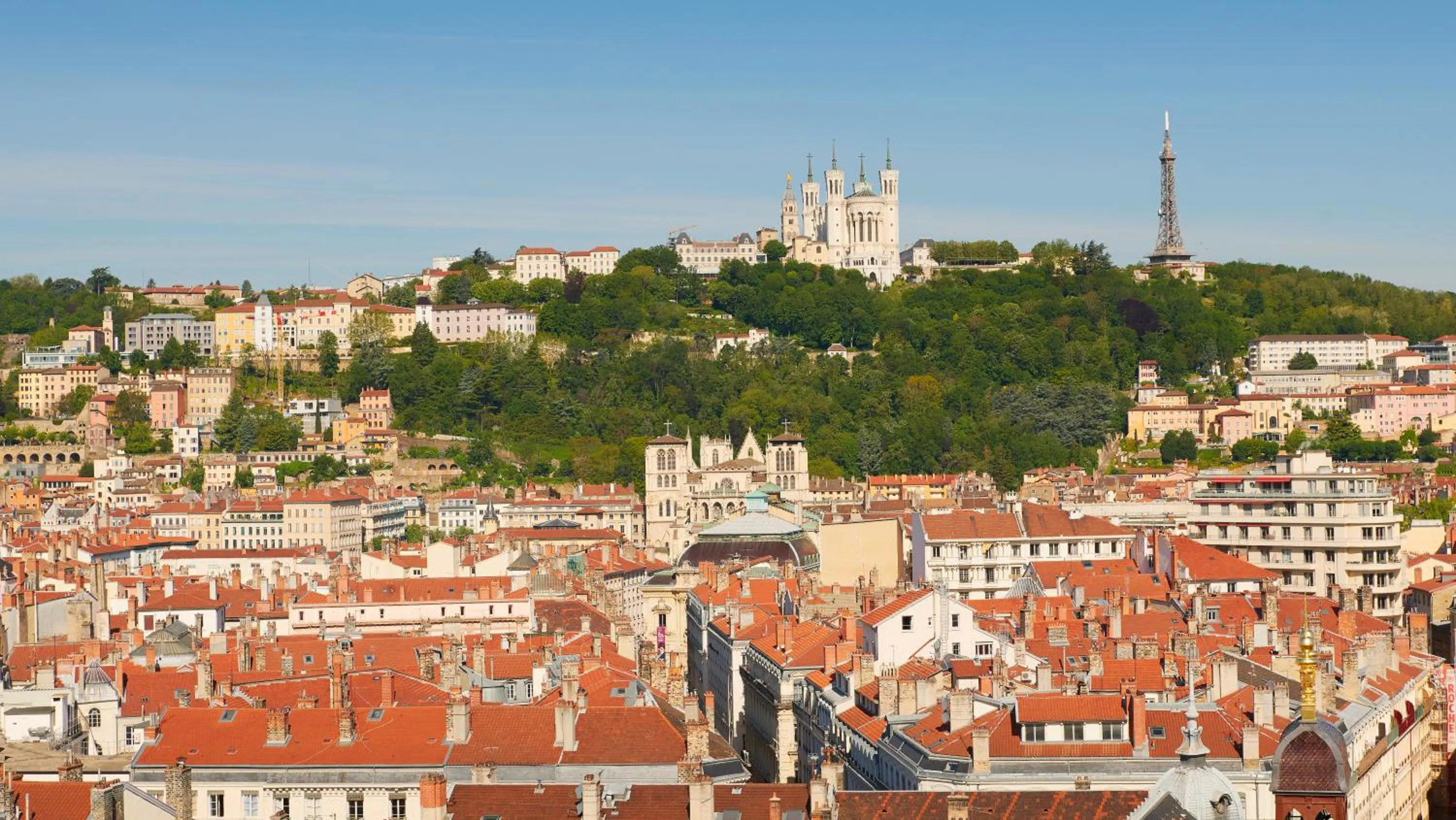 Area and facilities in InterContinental Lyon - Hotel Dieu by IHG