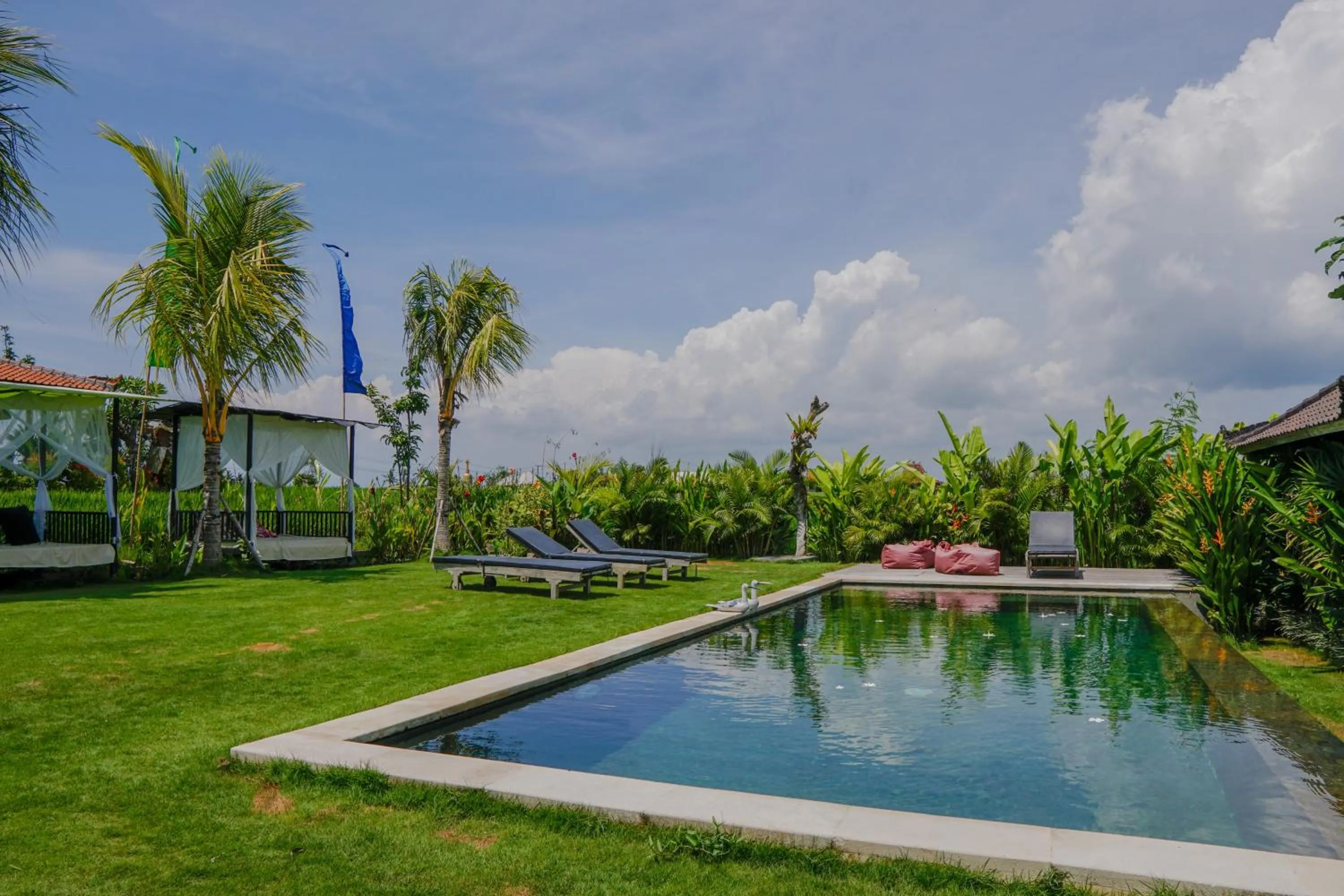 Swimming pool in Villa Alisha Pererenan Canggu