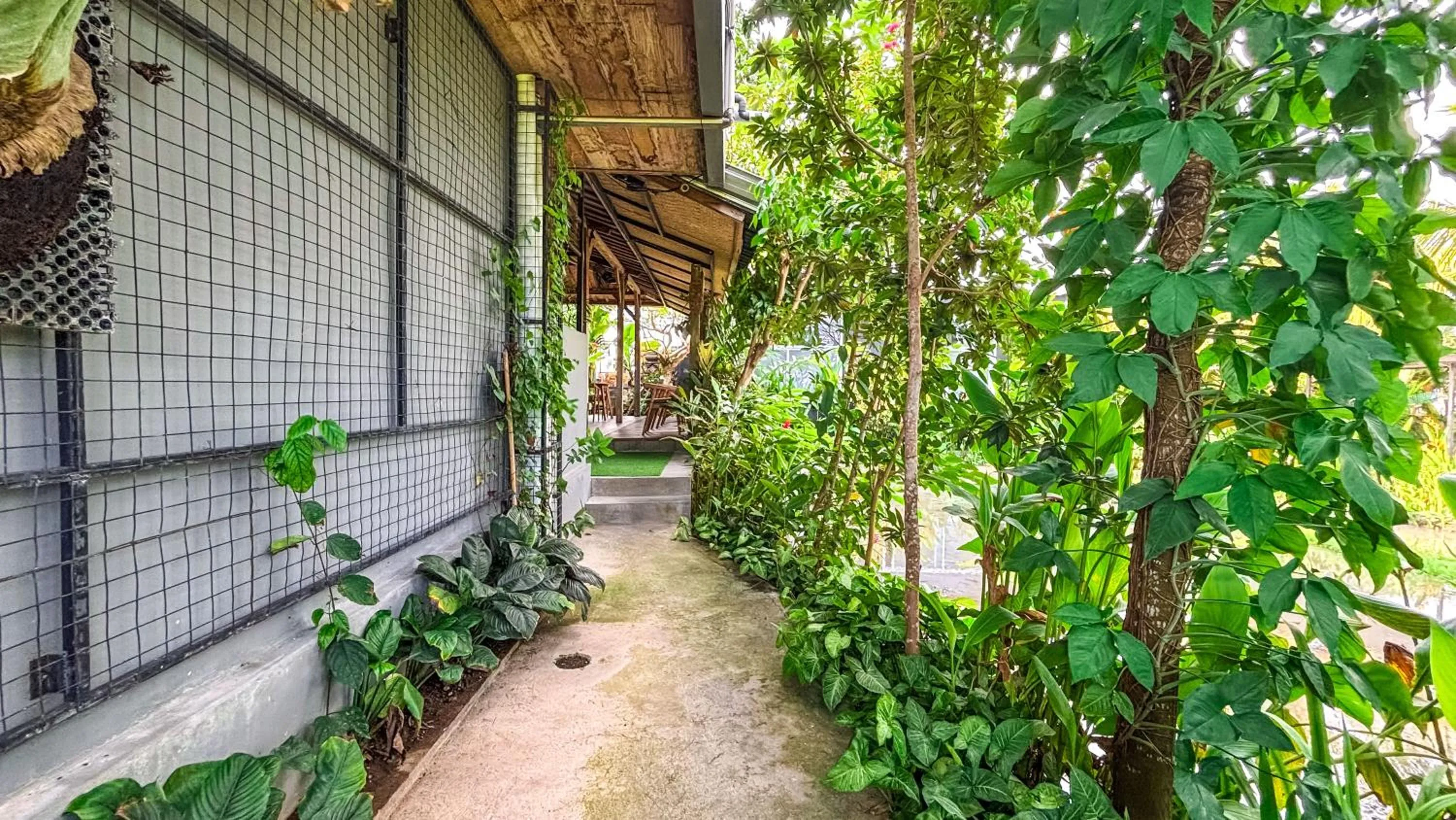 Day in Villa Alisha Pererenan Canggu