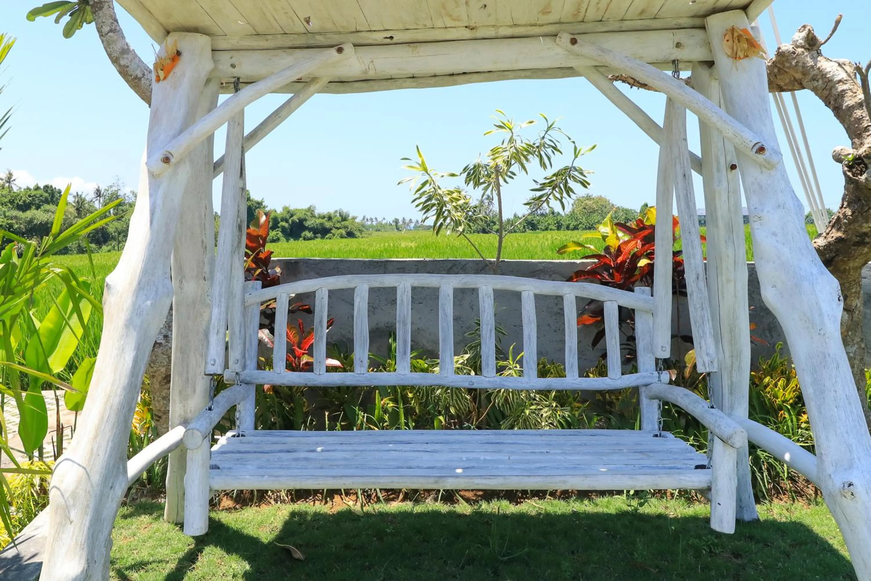 Garden in Villa Alisha Pererenan Canggu