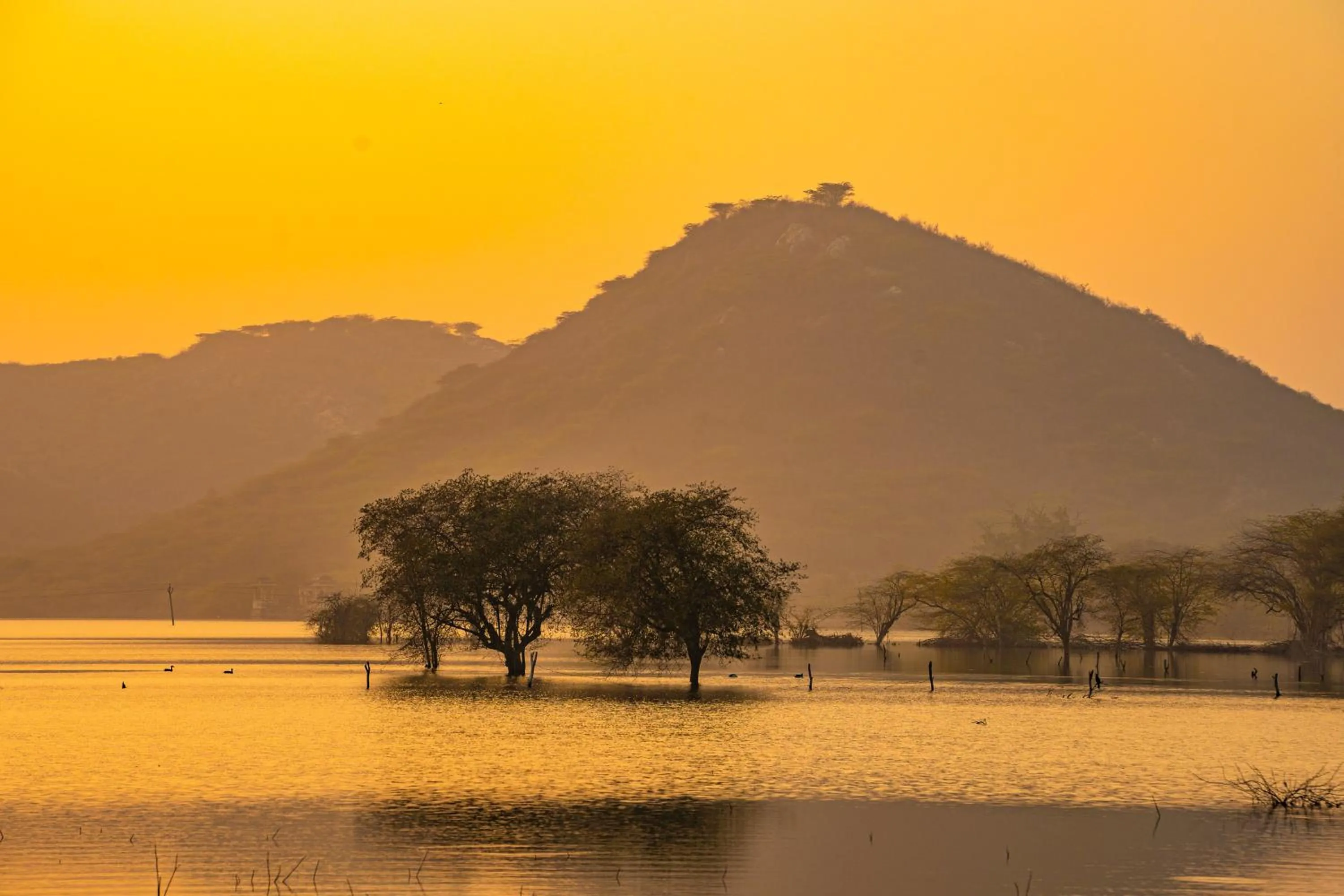 Nearby landmark in Zostel Bundi
