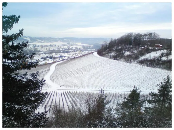 Natural landscape in Kirschberghof Gästehaus und Weinverkauf