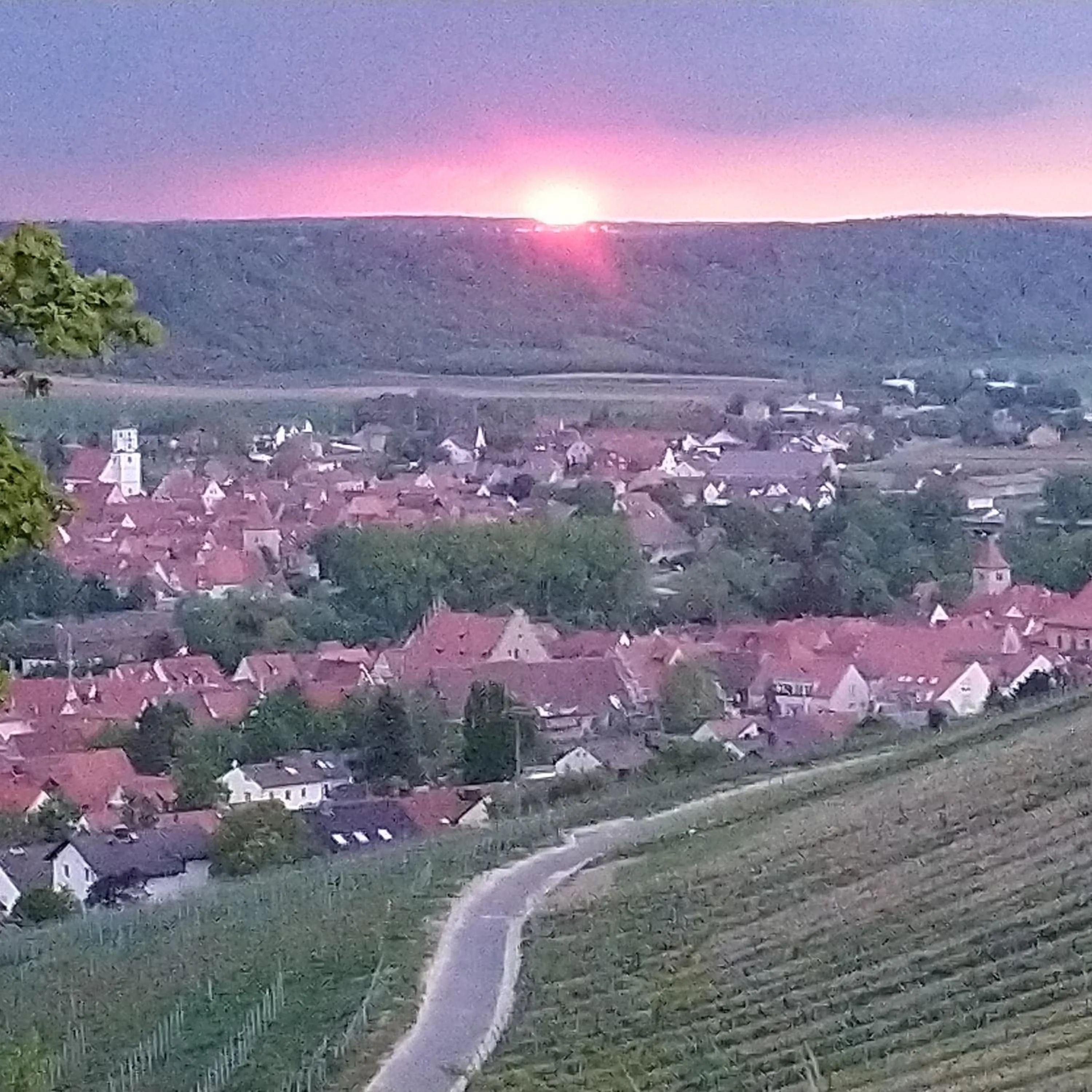 City view in Kirschberghof Gästehaus und Weinverkauf