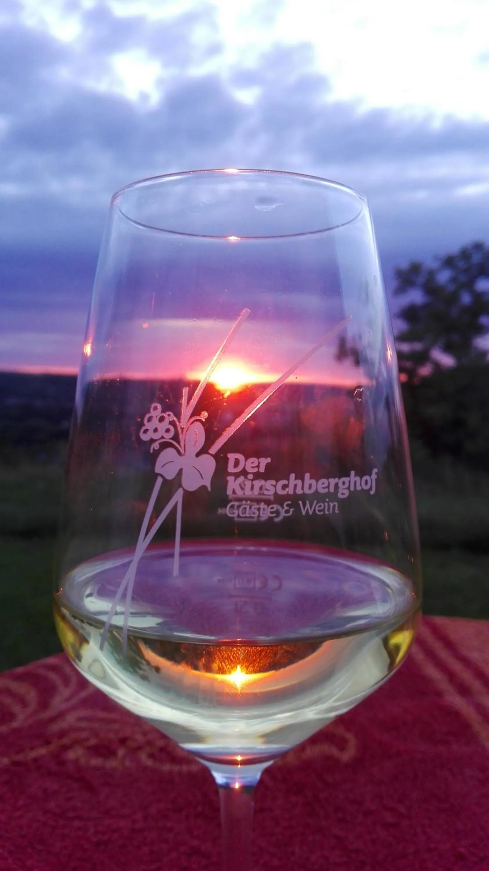 Natural landscape in Kirschberghof Gästehaus und Weinverkauf