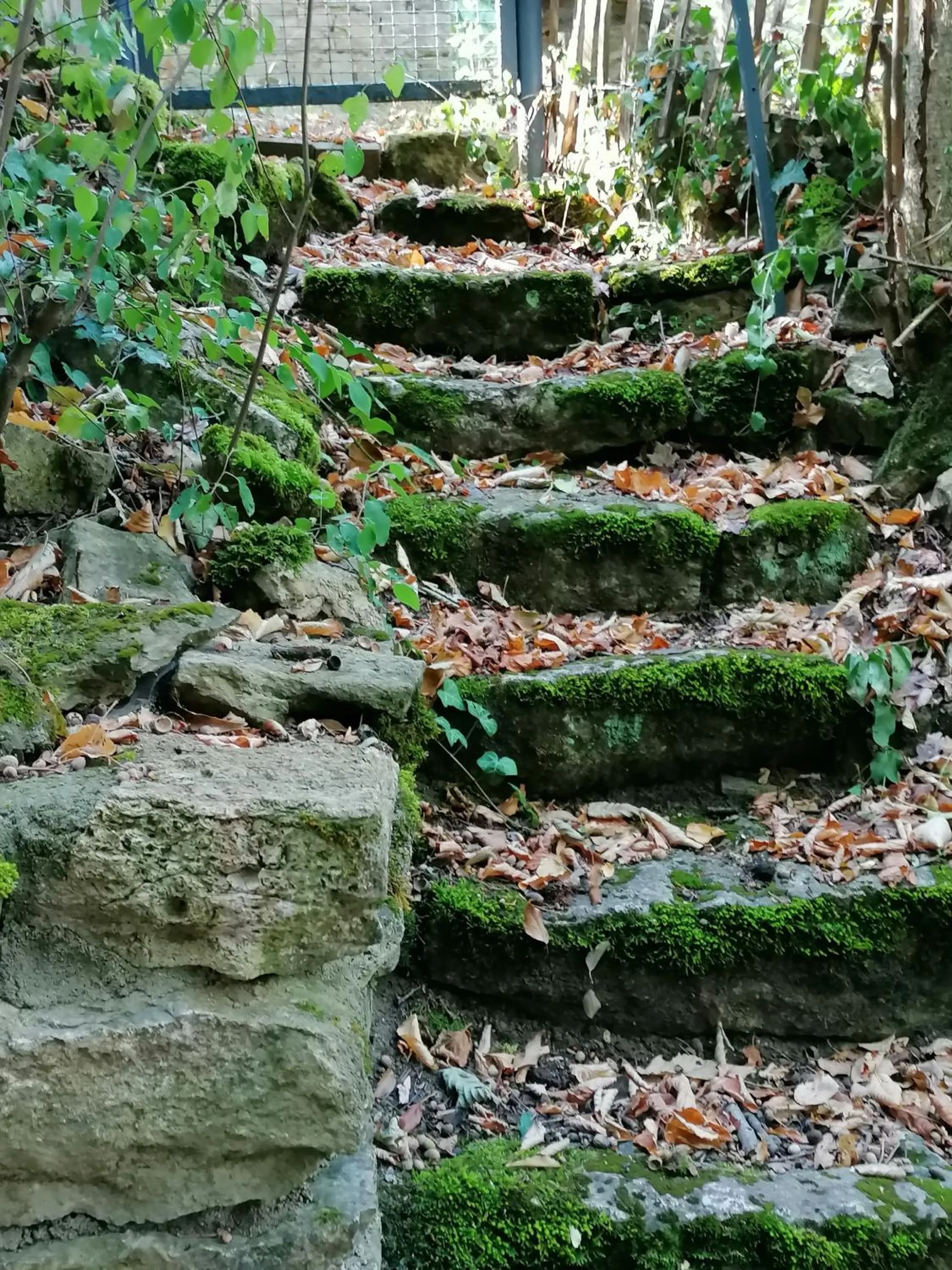 Hiking in Kirschberghof Gästehaus und Weinverkauf