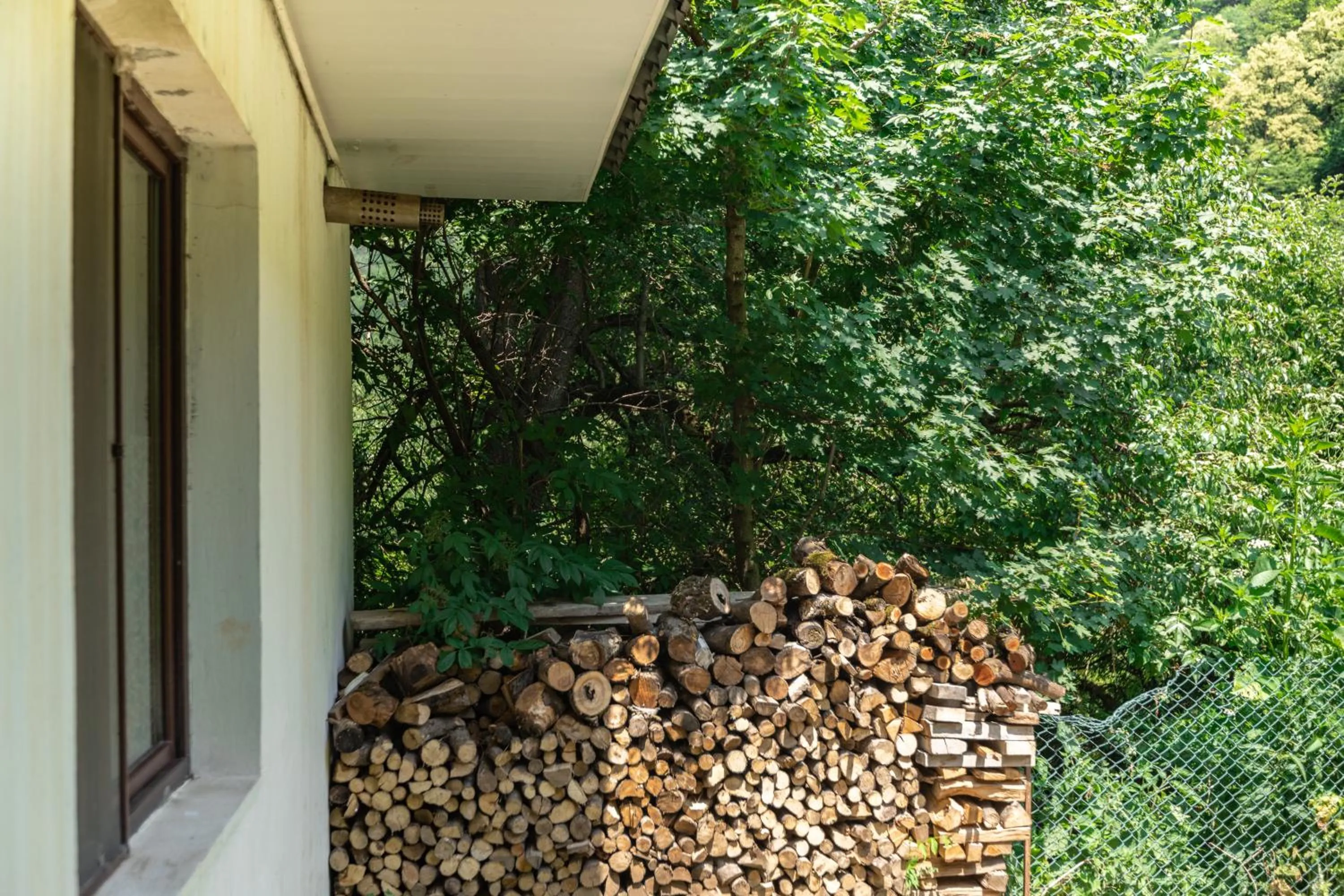 Garden view in Ariana Family Hotel