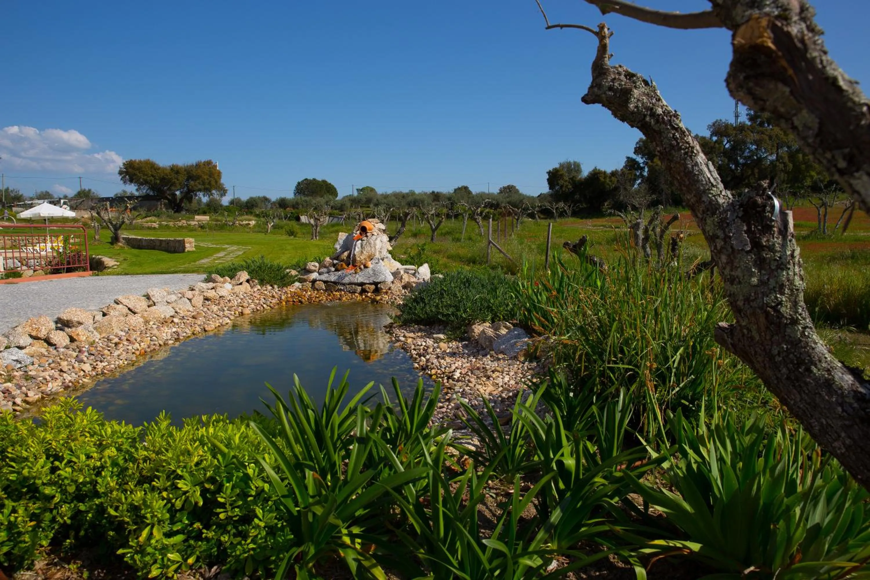 Garden in Monte Filipe Hotel